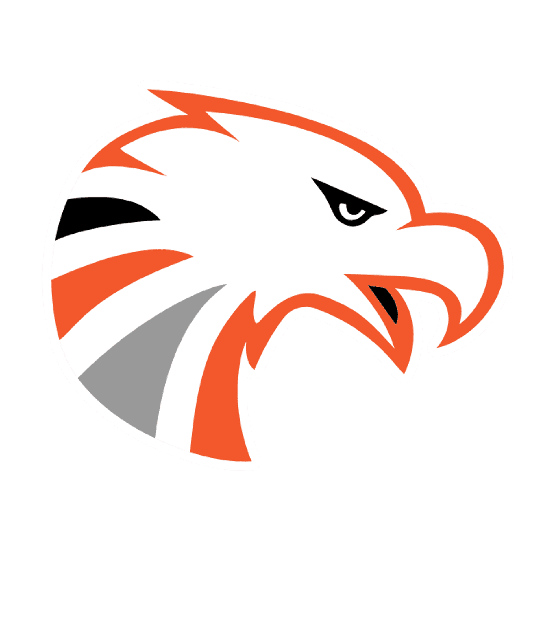 BETHLEHEM CENTRAL SENIOR HIGH SCHOOL Logo