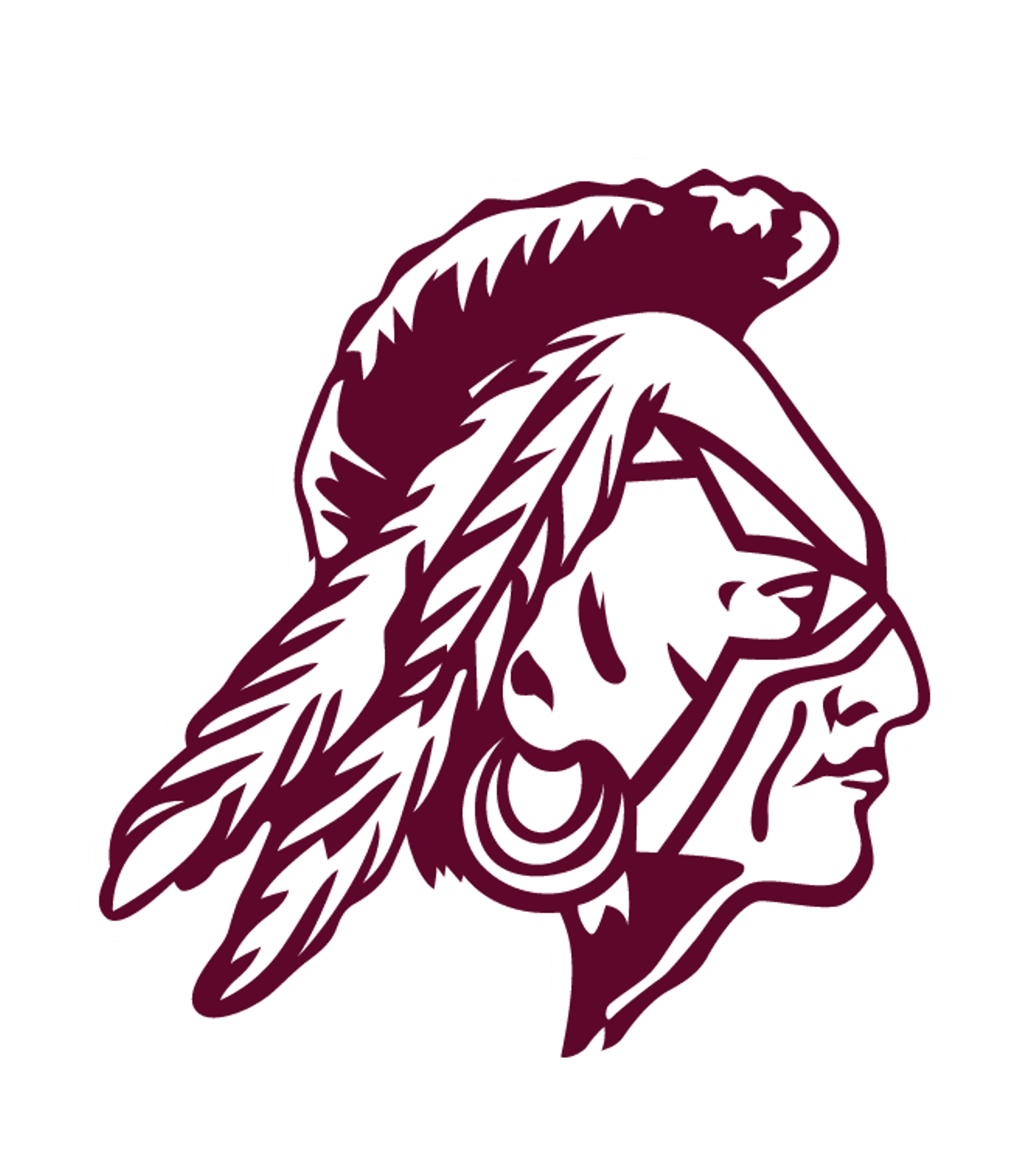 FONDA-FULTONVILLE SENIOR HIGH SCHOOL Logo