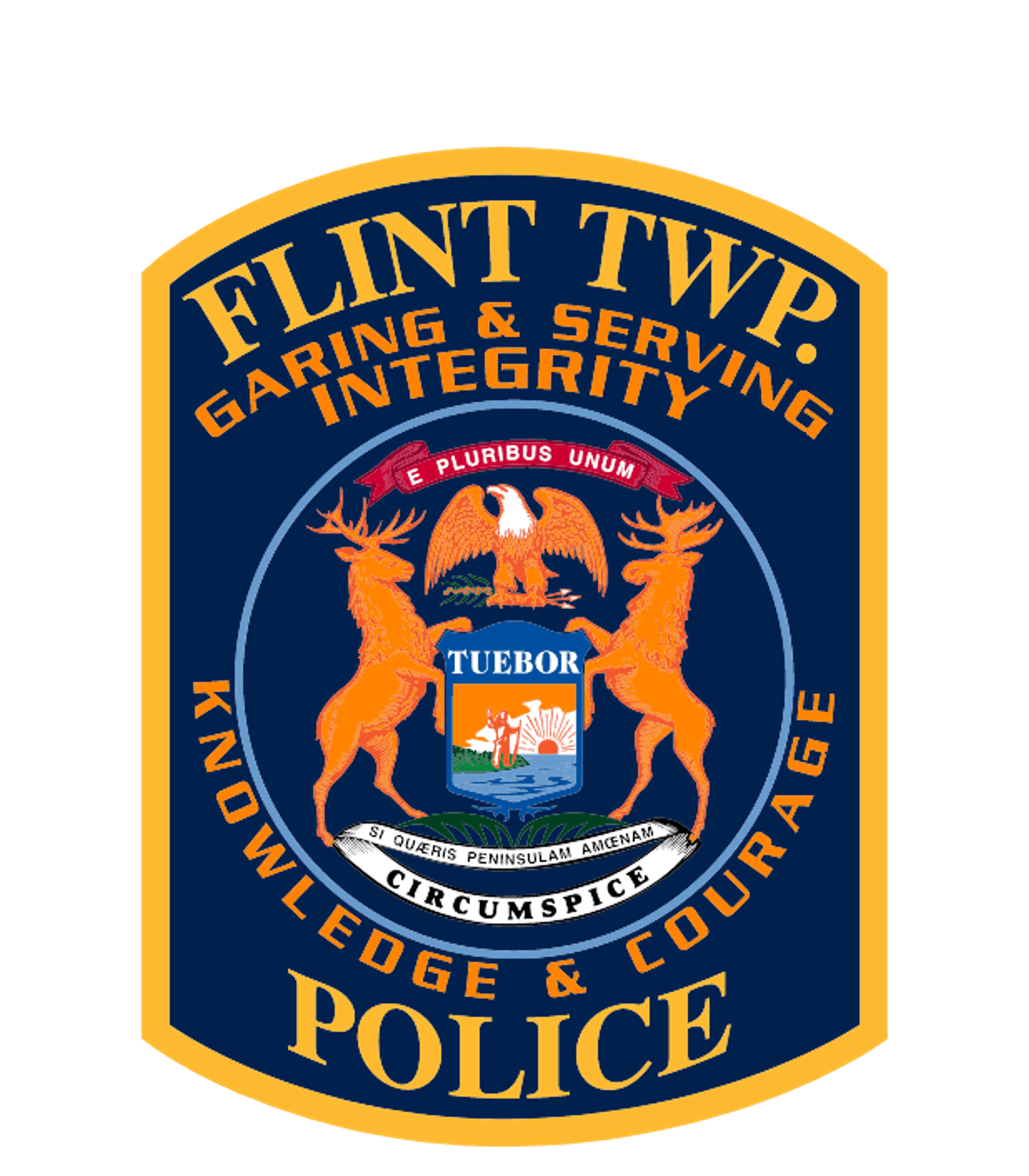 Flex High North Flint Logo