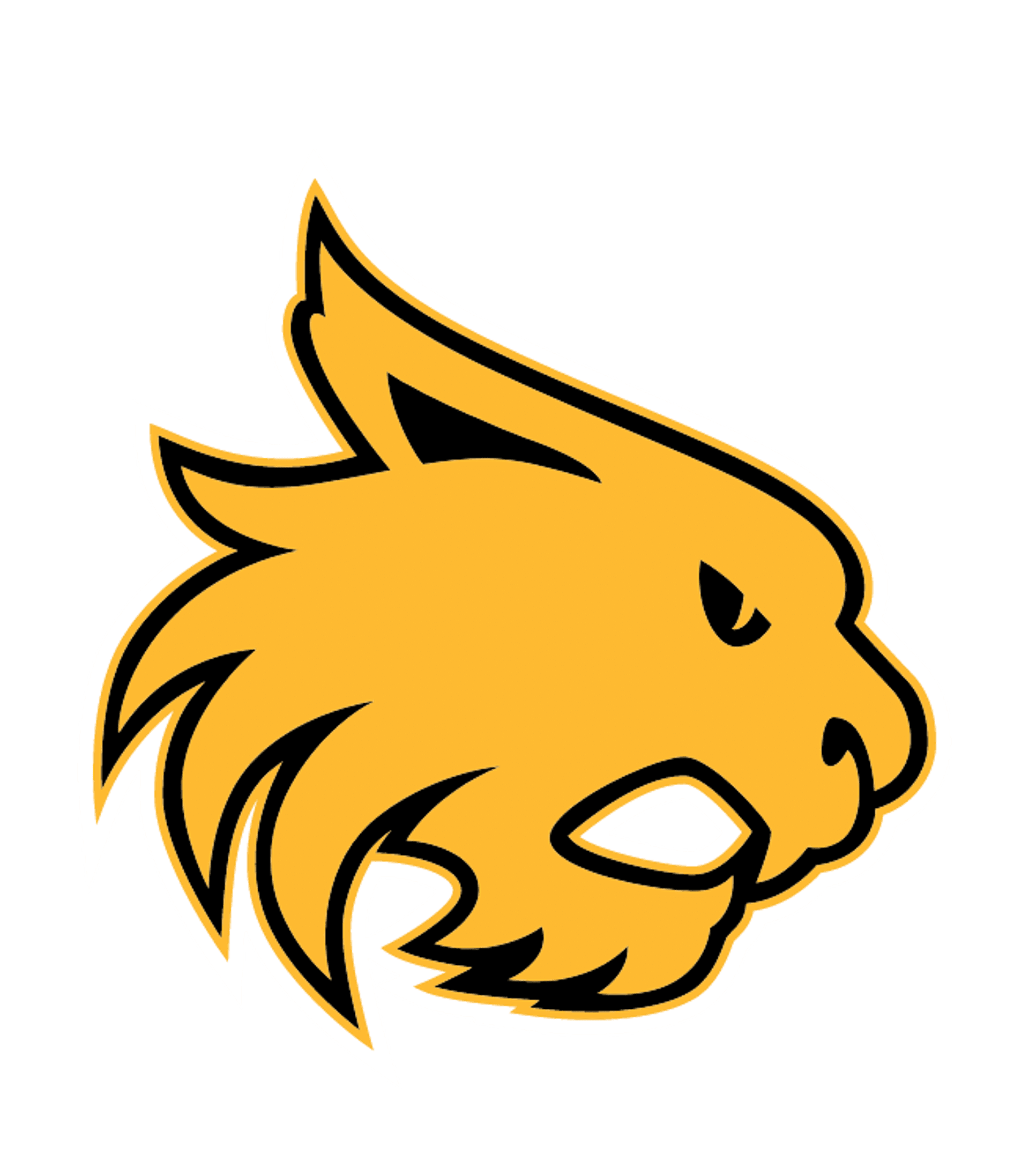 CORNING HIGH SCHOOL Logo