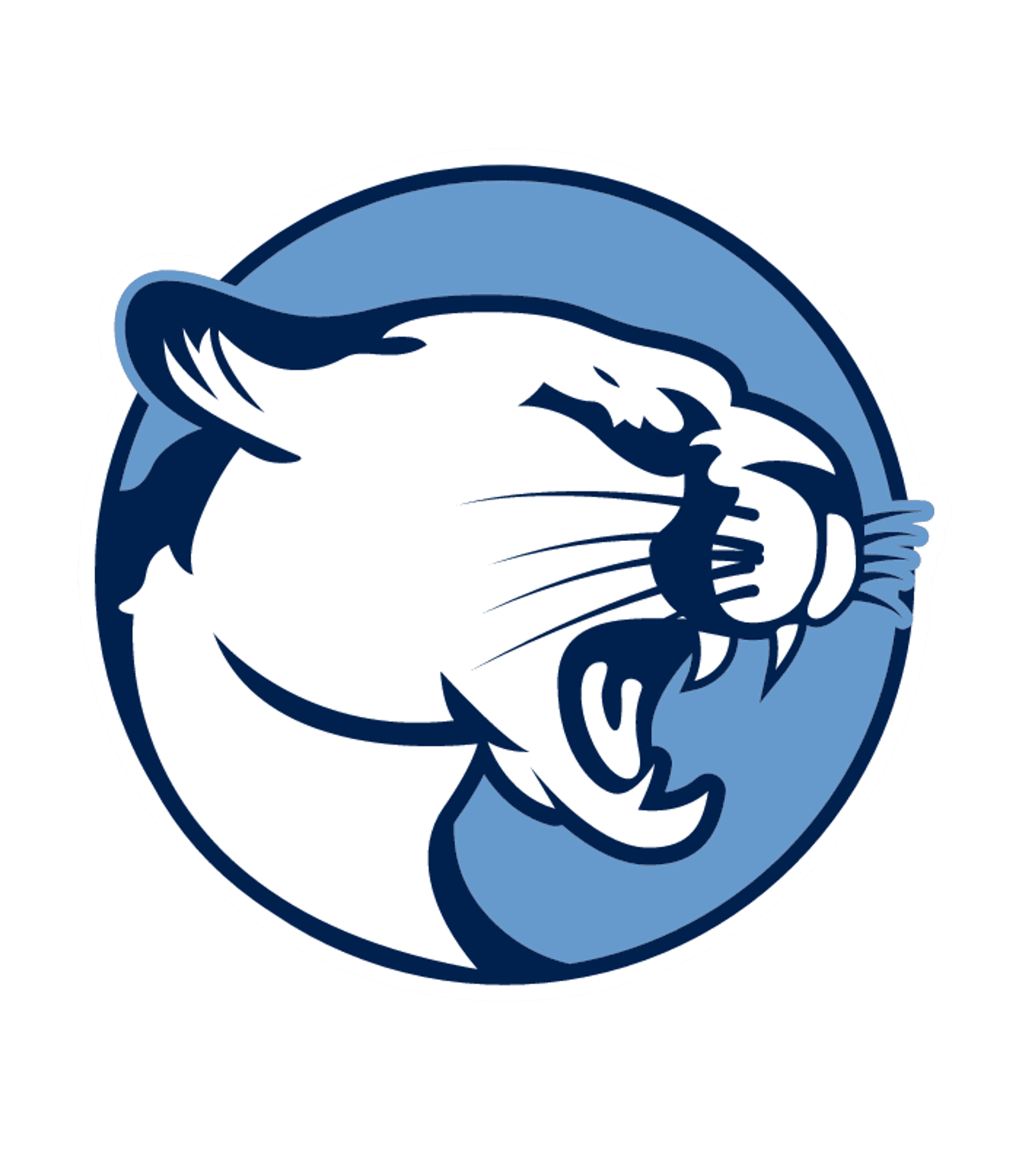 Catoctin High Logo