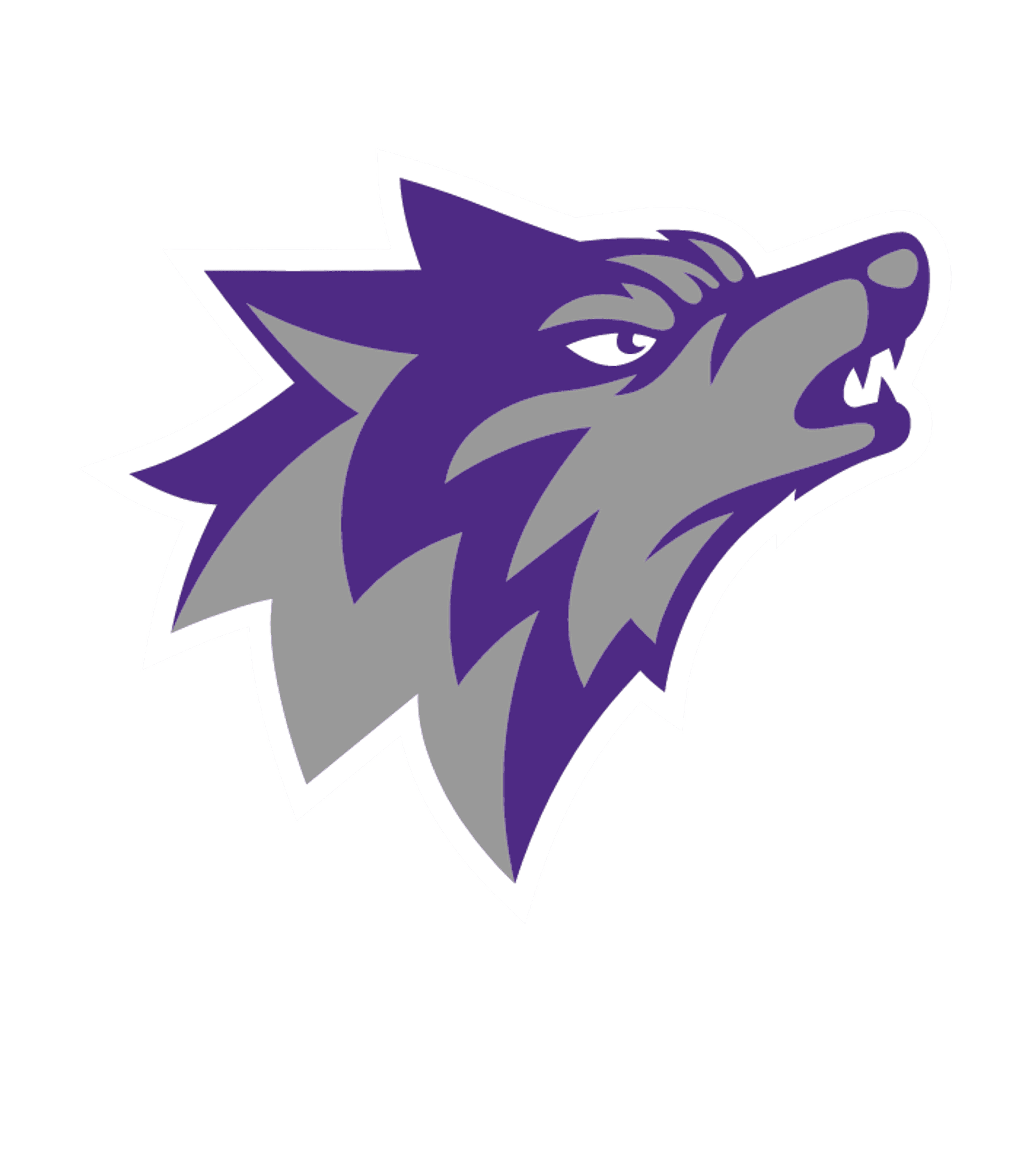 Boston Collaborative High School Logo