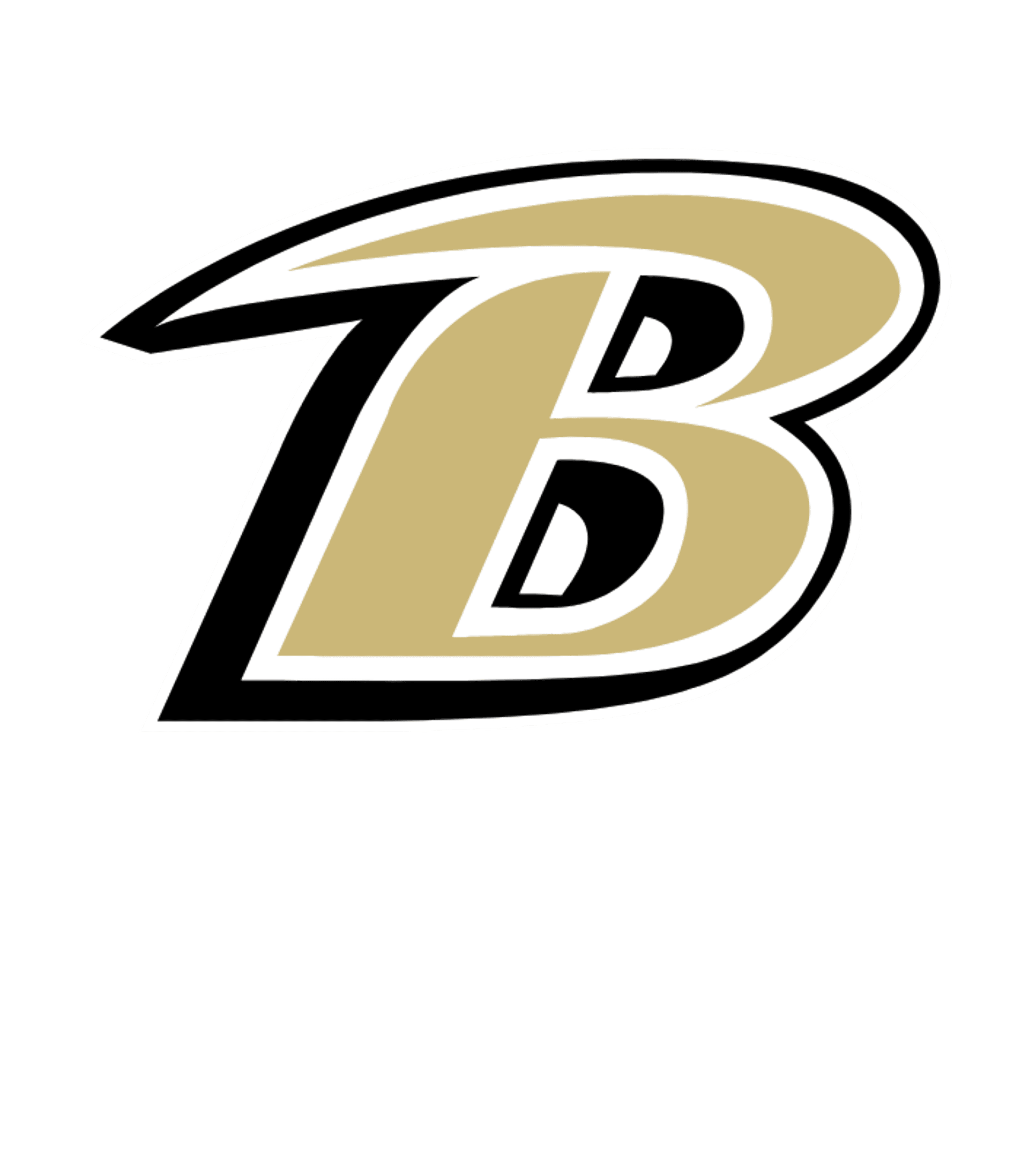 Boyle County Day Treatment Logo