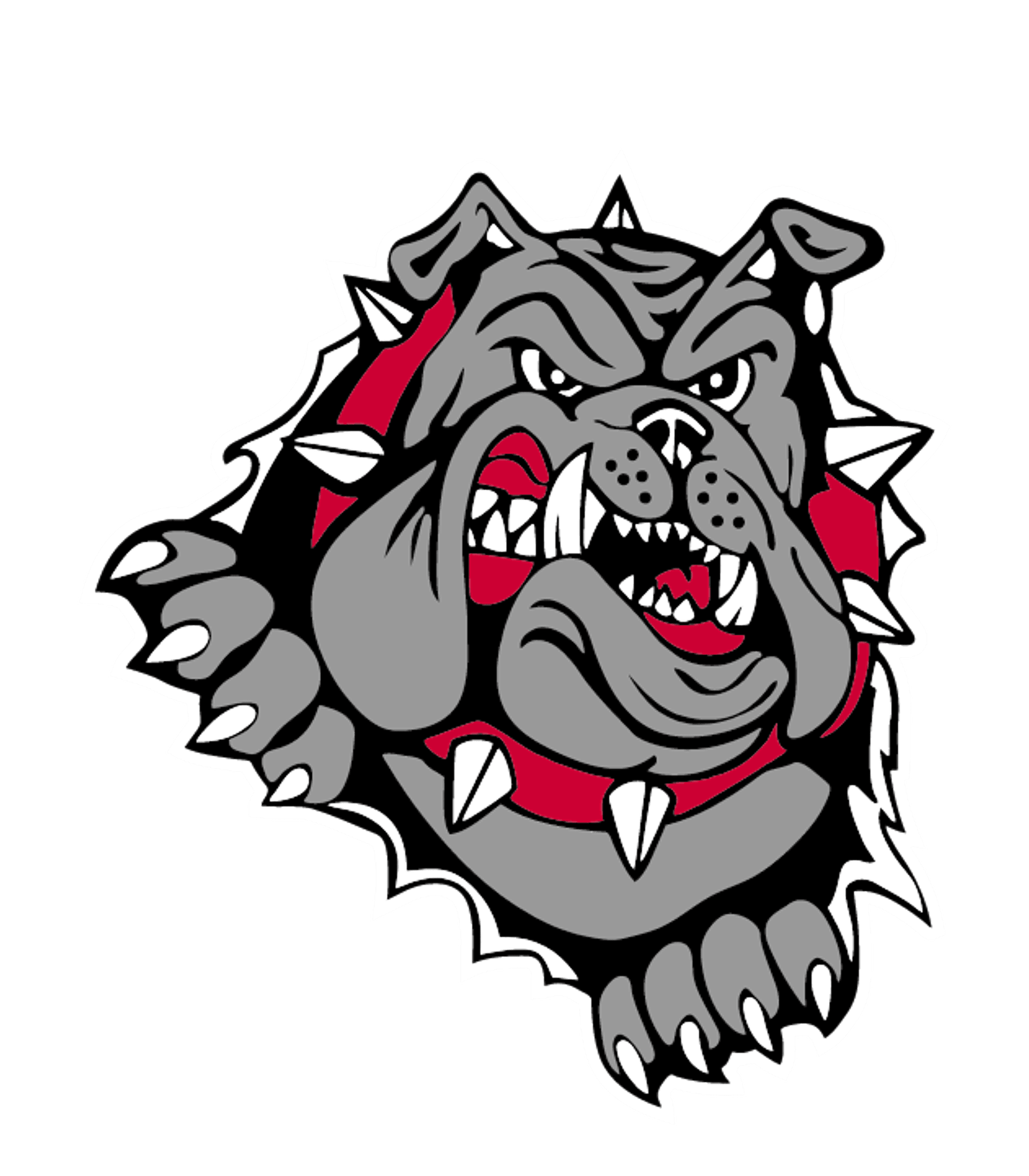 CREIGHTON COMMUNITY HIGH SCH Logo