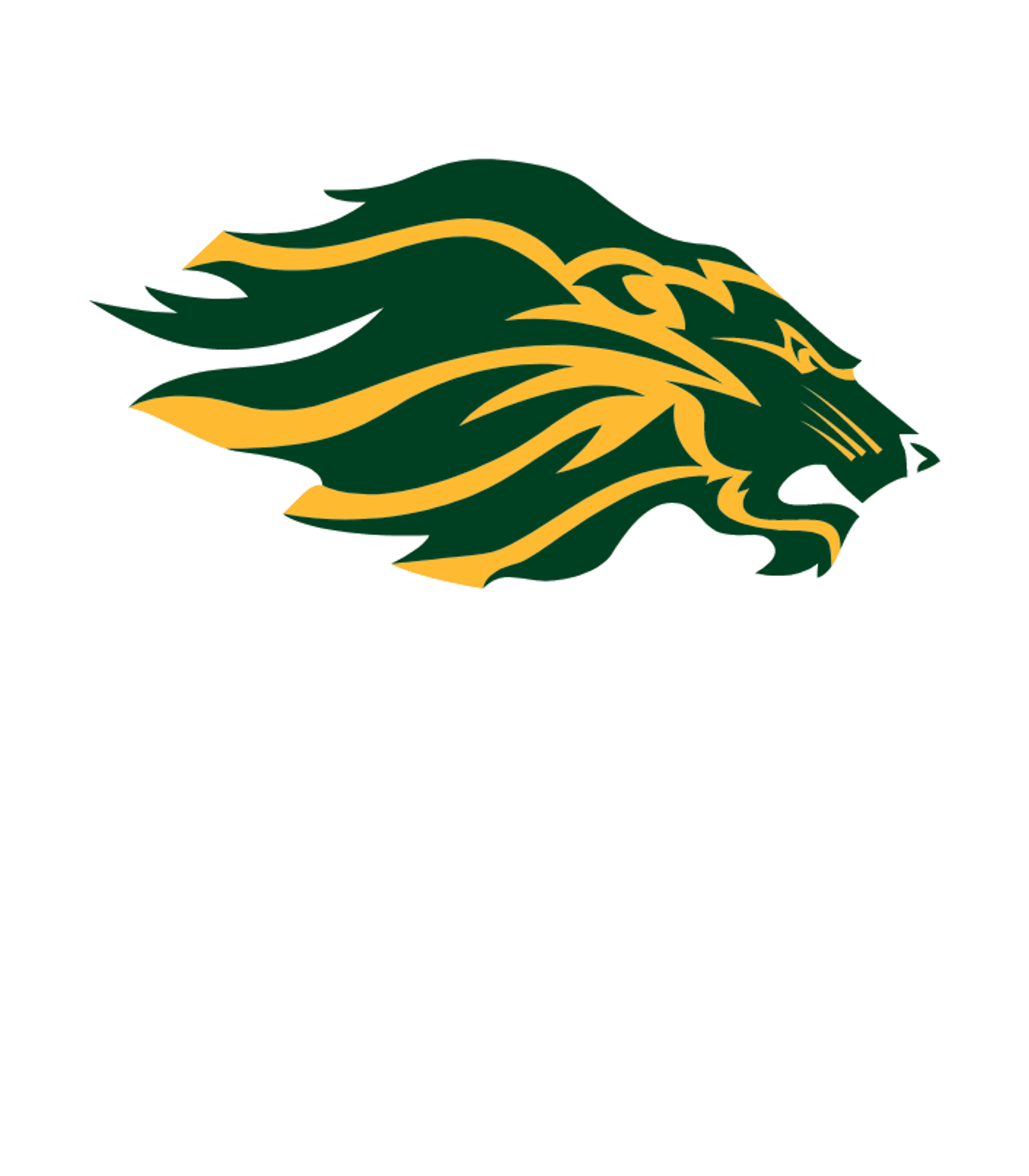 BORAH SENIOR HIGH SCHOOL Logo