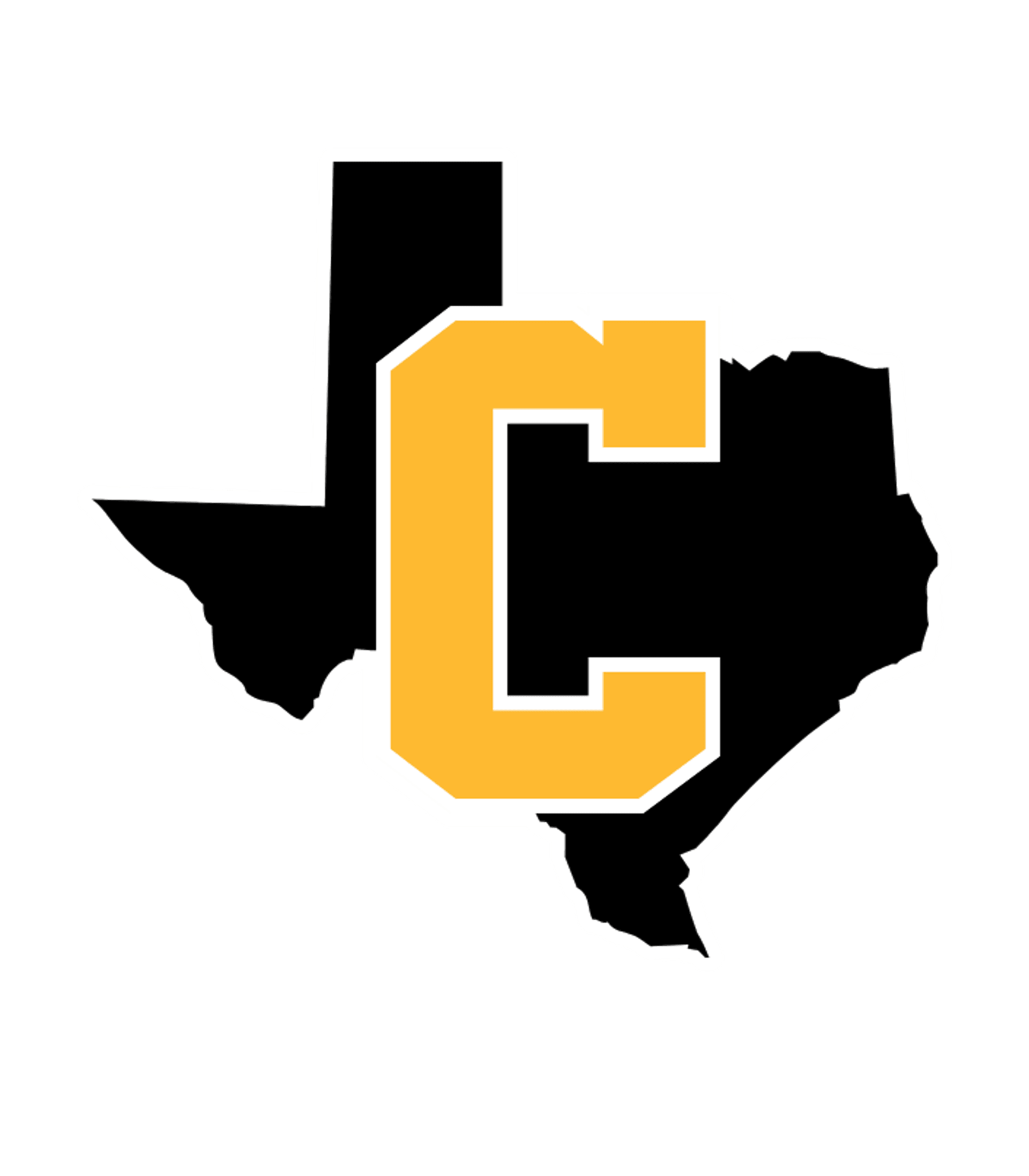 CAYUGA H S Logo