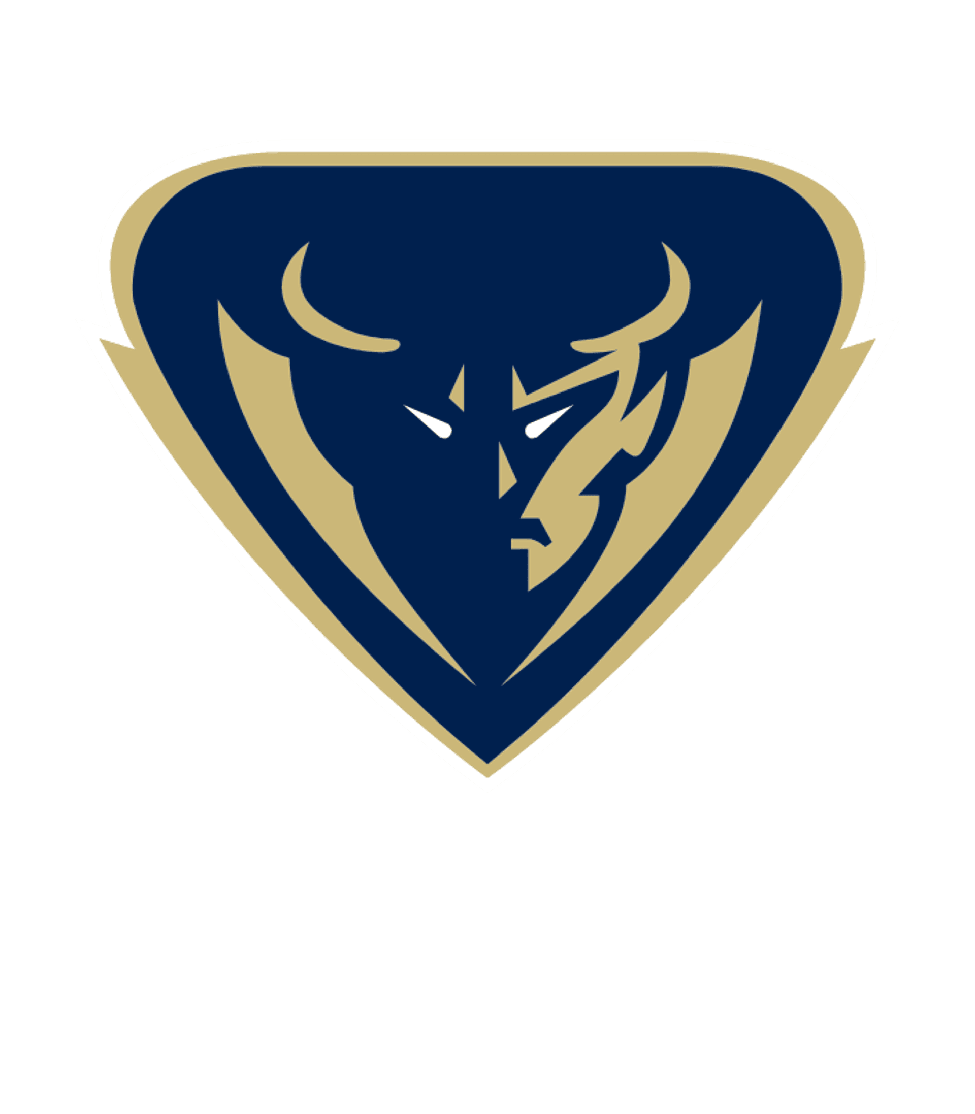 Fike High Logo