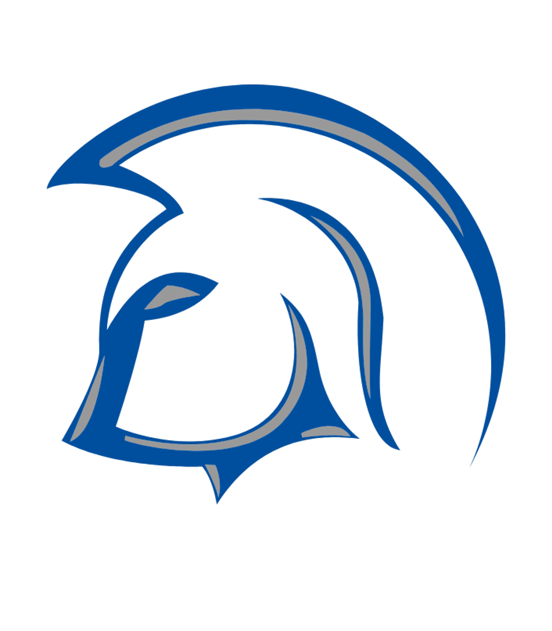 Bonsall High Logo