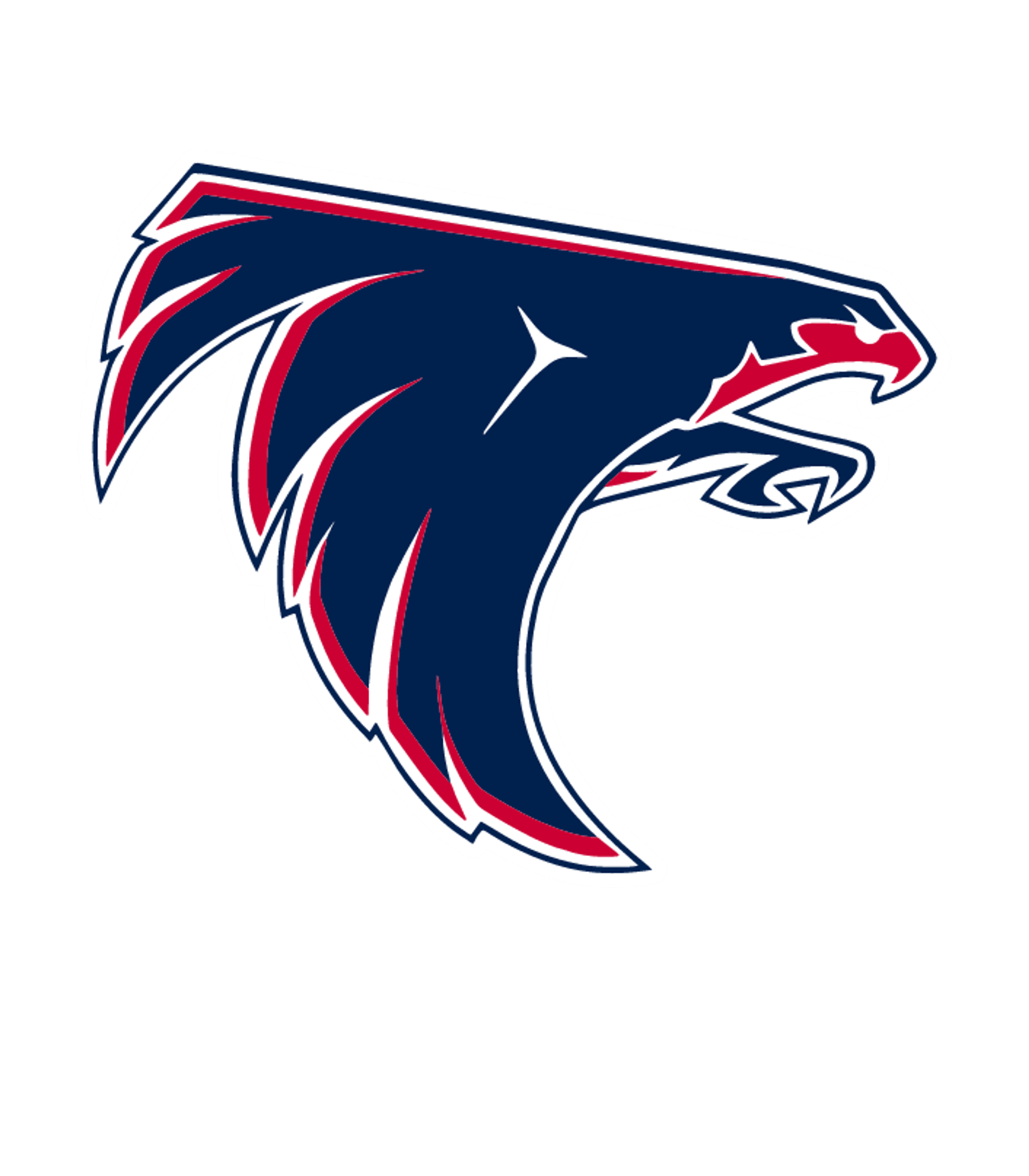 CLEAR LAKE H S Logo