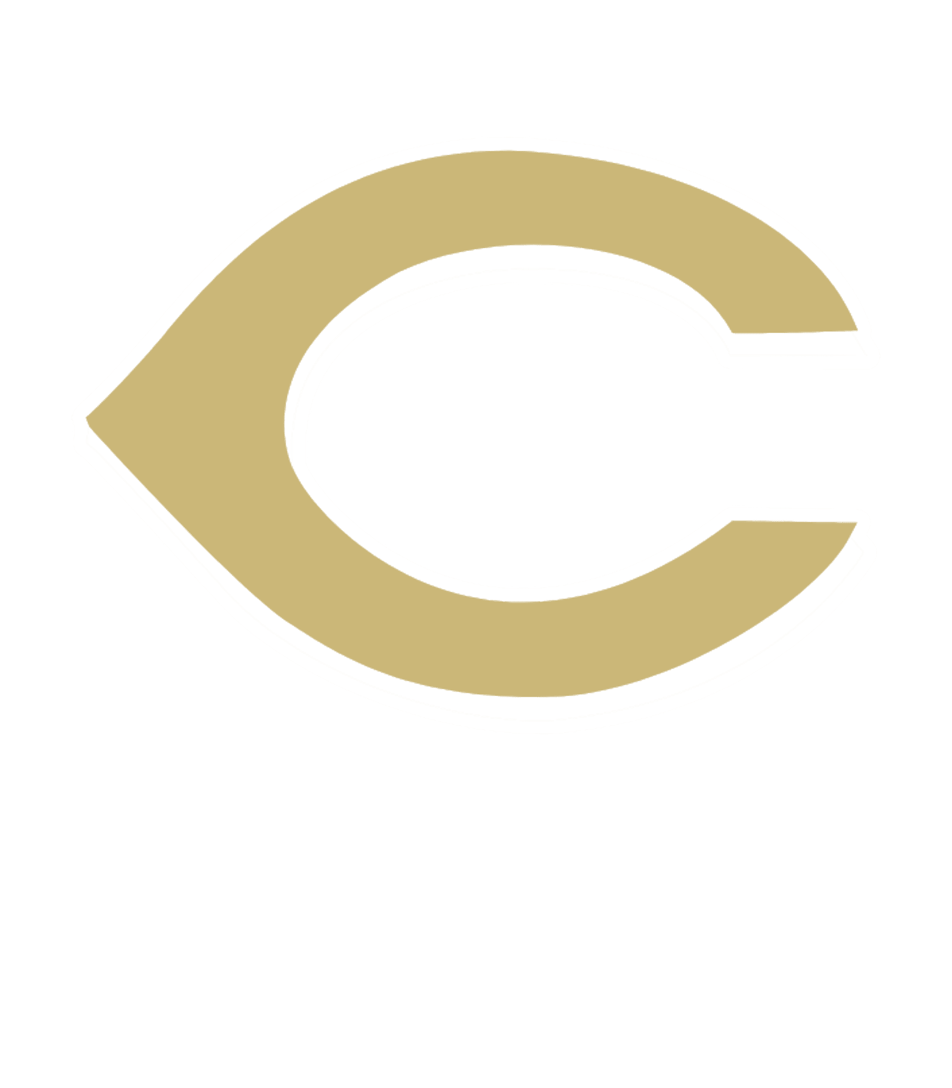 CLEBURNE H S Logo