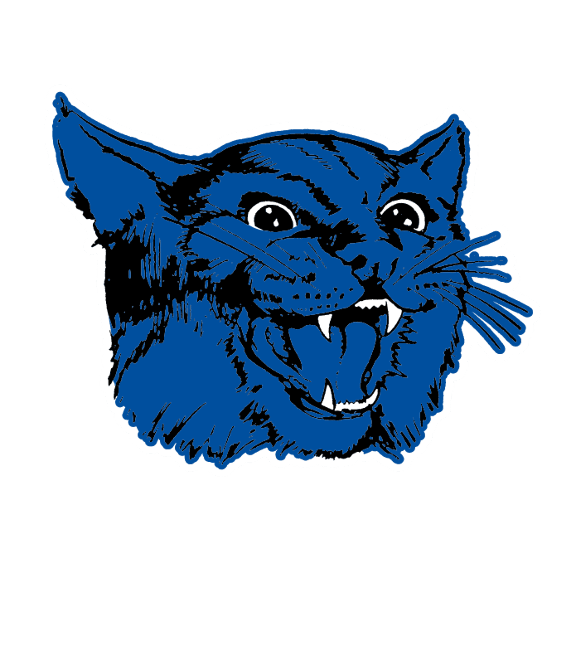 COLEMAN H S Logo