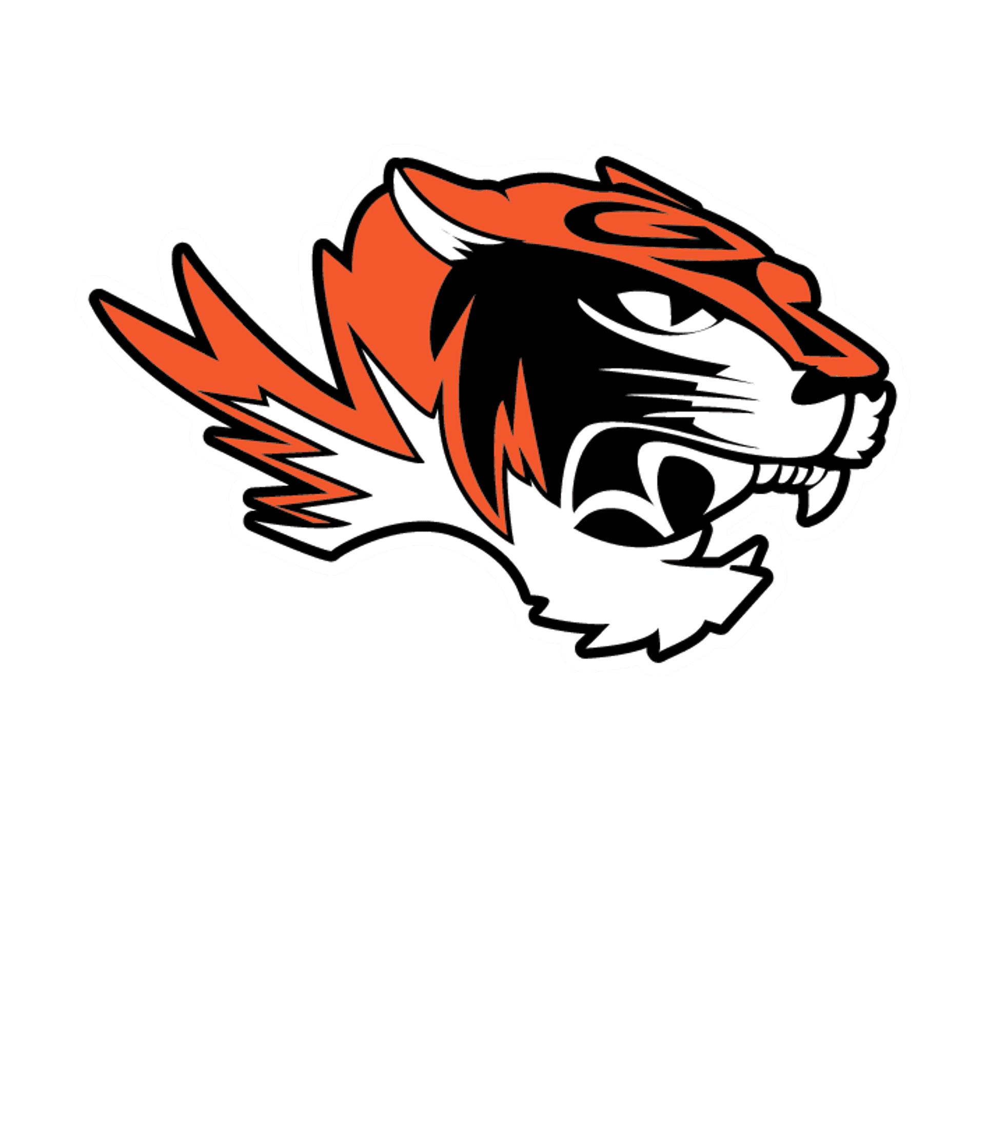 CVIT - Globe High School Logo