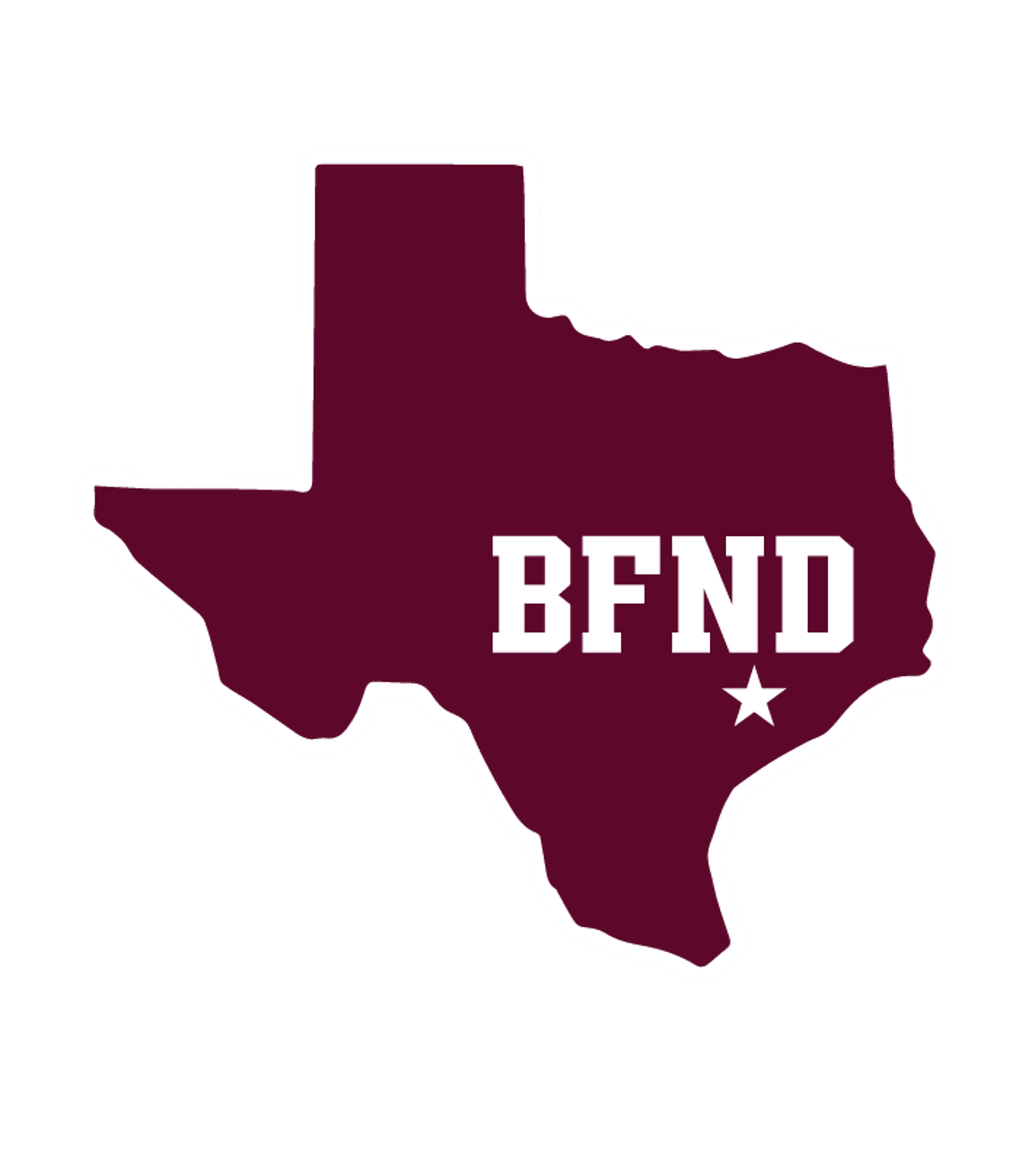 CY-FAIR H S Logo