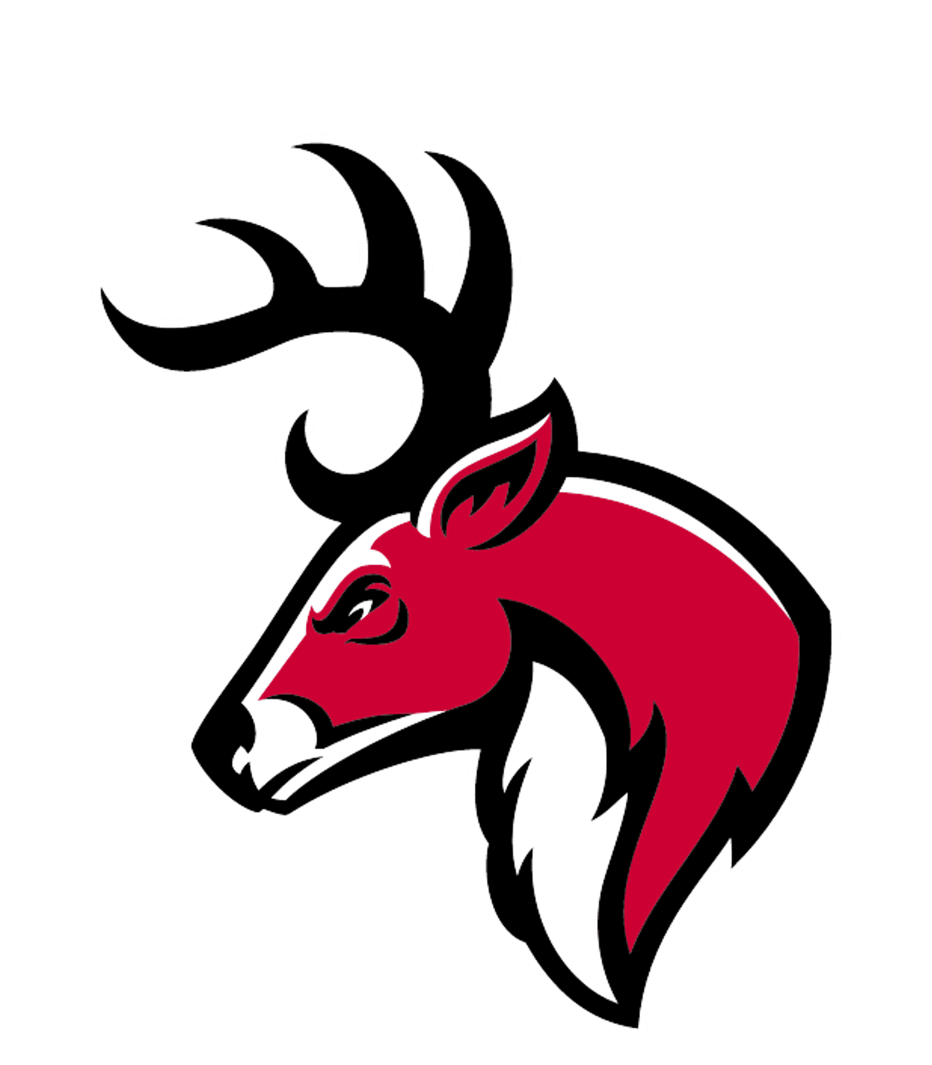 Northwestern Regional High School Logo