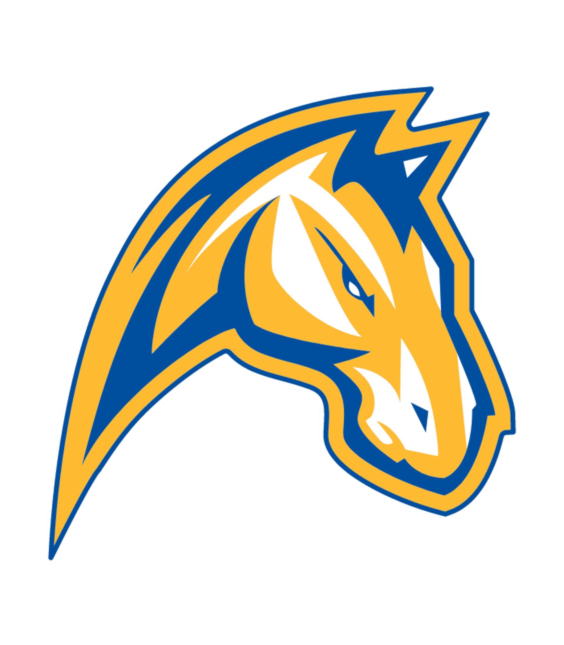 Chicopee Academy Logo