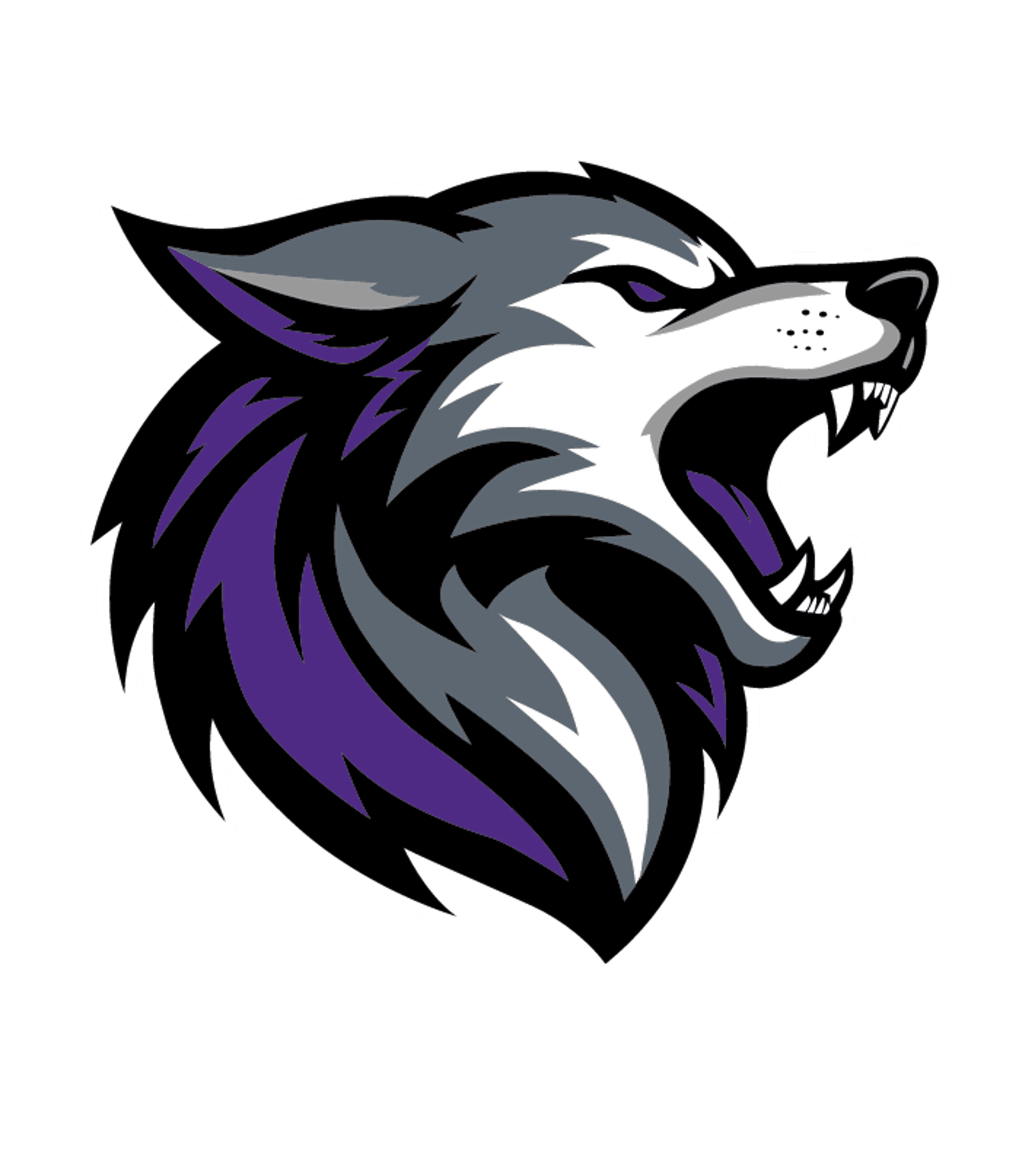 CYPRESS CREEK HIGH Logo