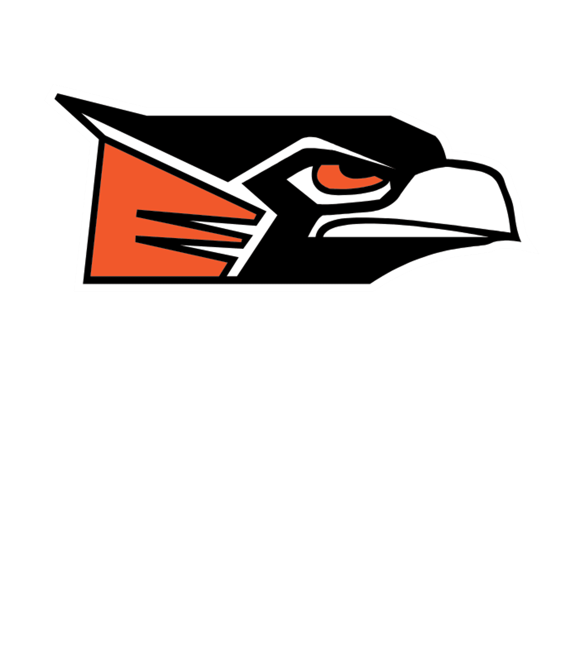 Charlotte Public Schools Project Success Logo