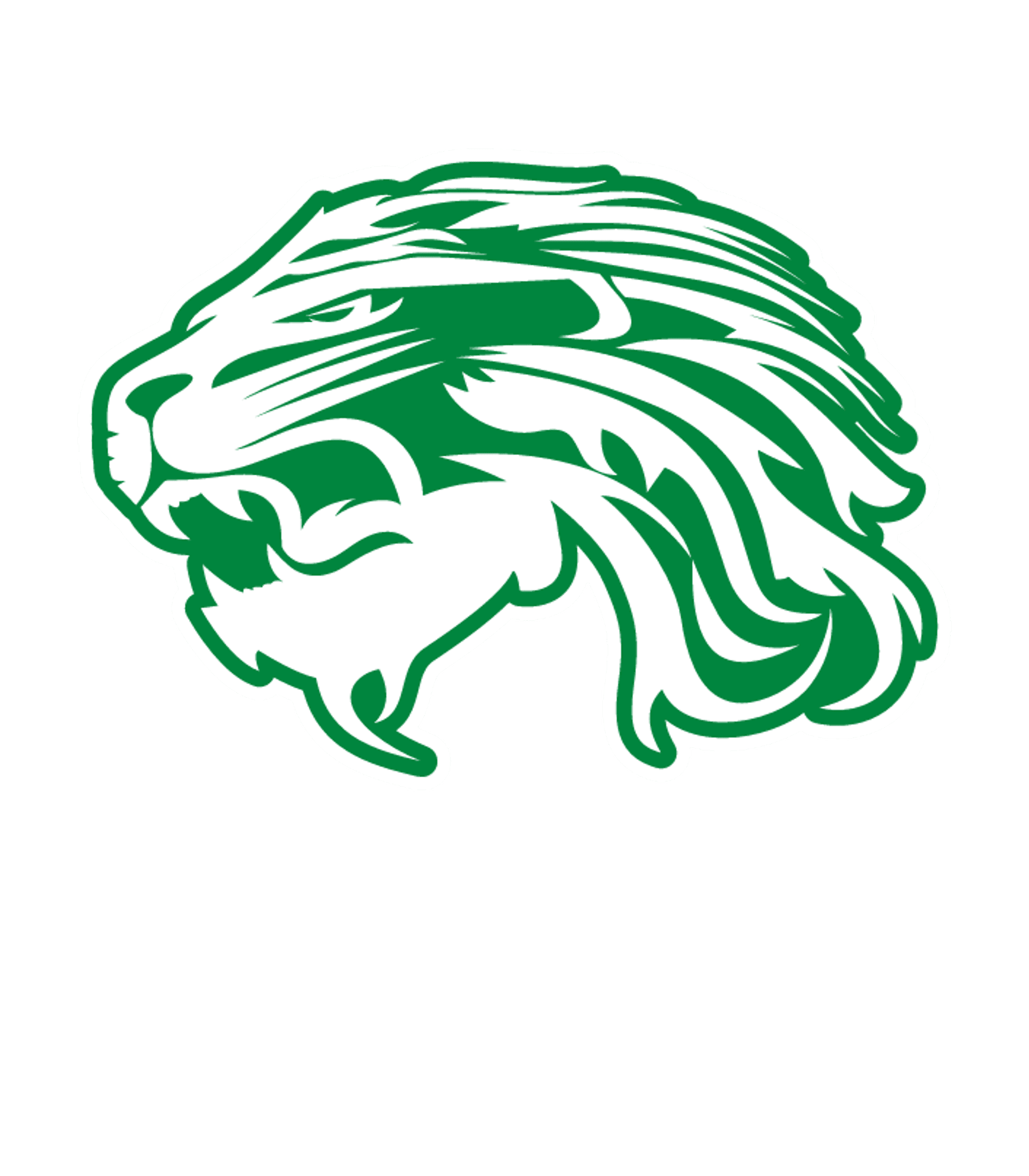CHINA SPRING H S Logo