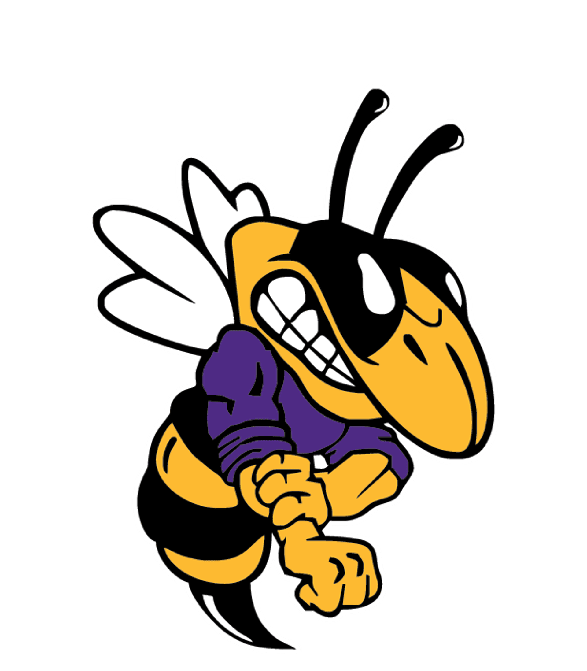 Blue Ridge High School Online Logo