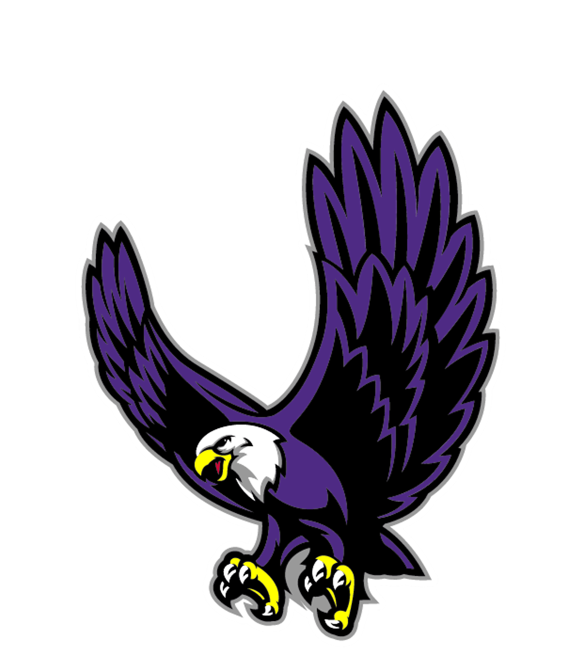 CYPRESS HILLS COLLEGIATE PREPARATORY SCHOOL Logo