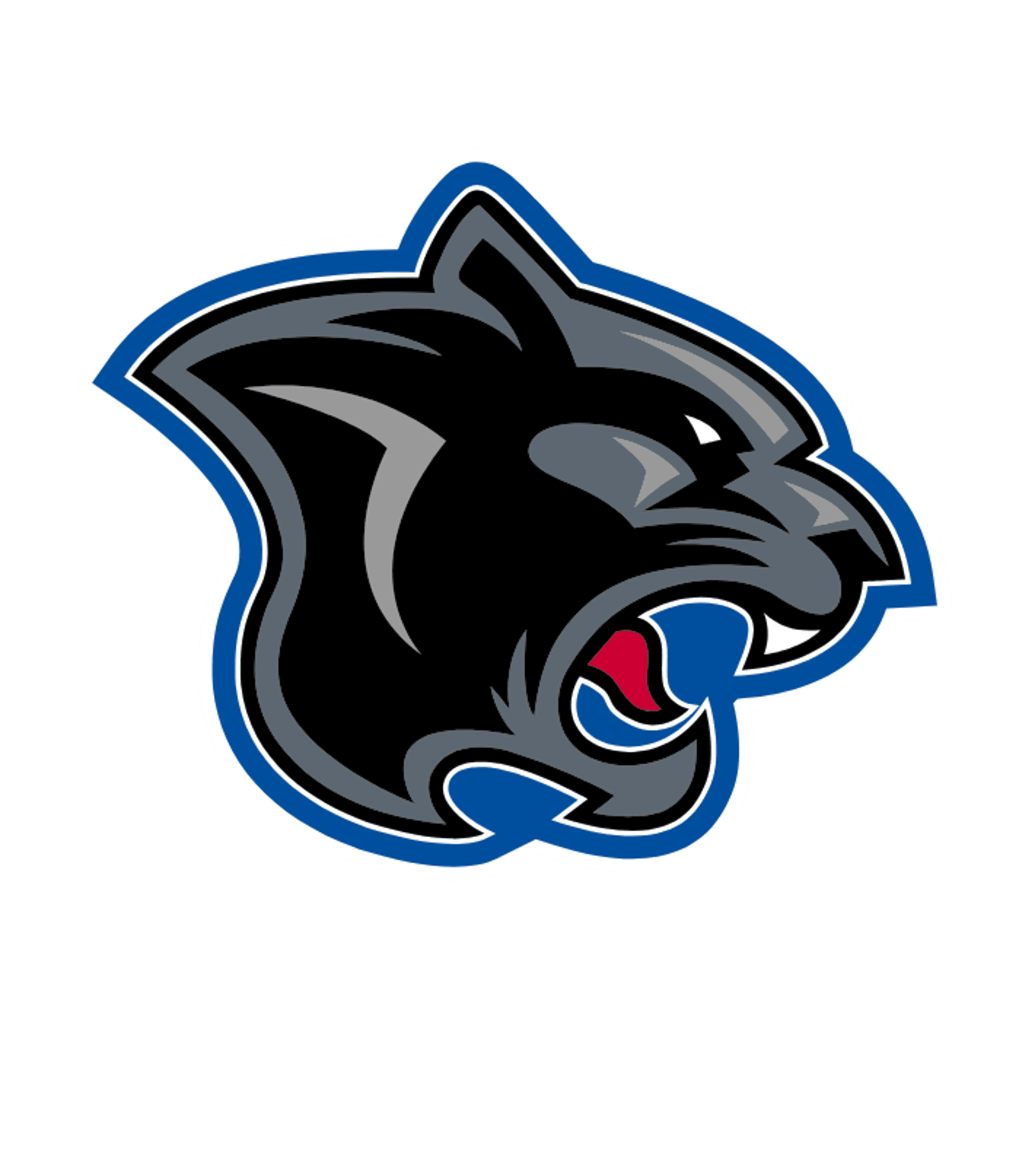 CYPRESS SPRINGS H S Logo