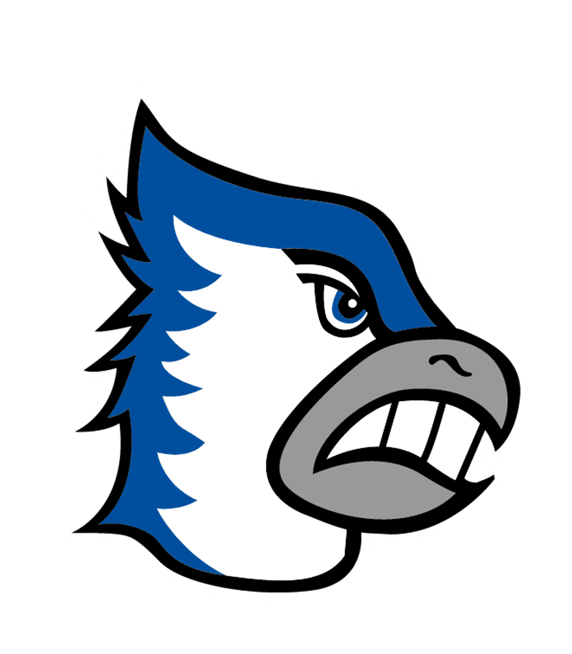 Bondurant-Farrar High School Logo