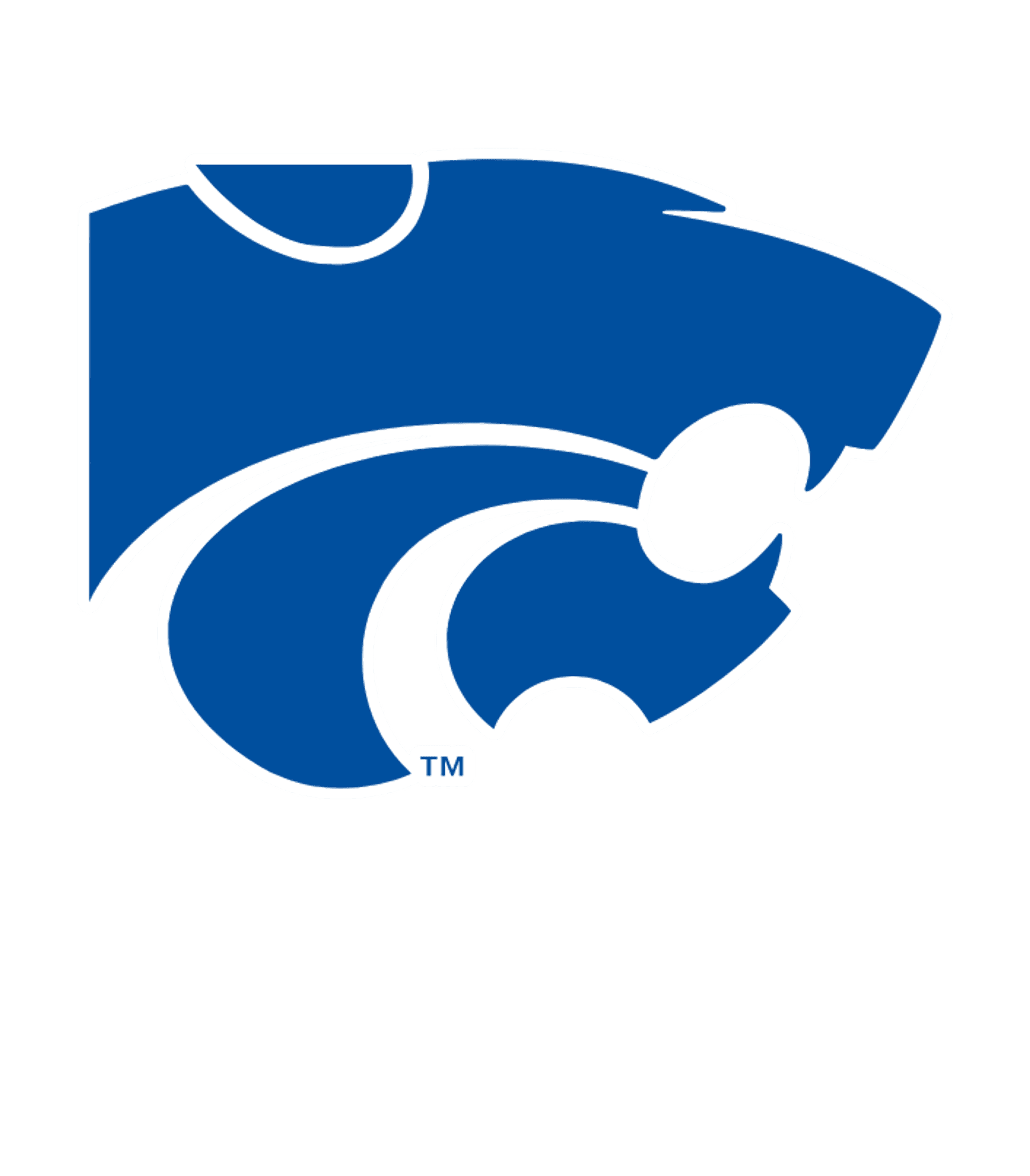 CYPRESS FALLS H S Logo