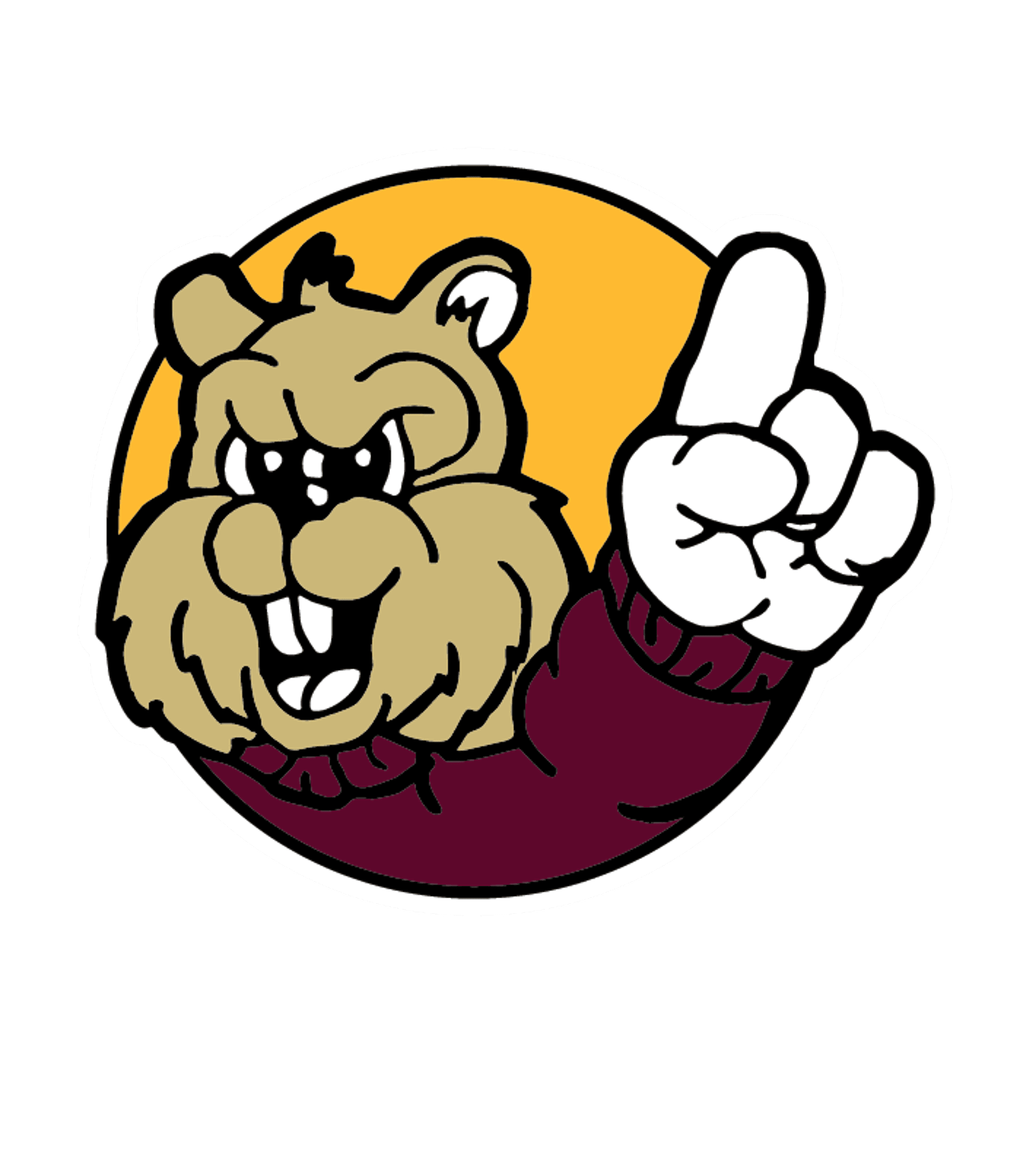 CHATFIELD SECONDARY Logo