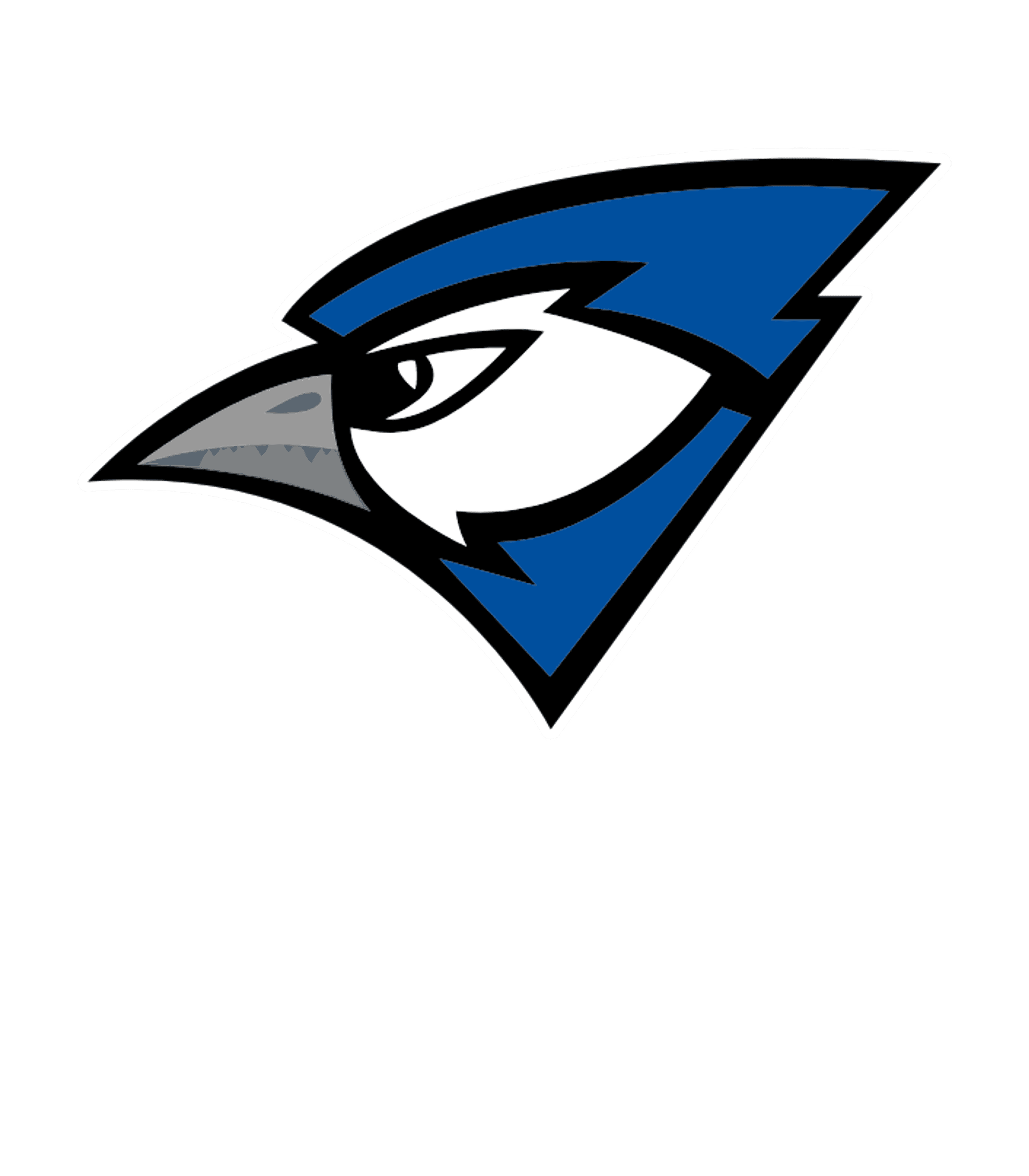 CHARLESTON HIGH Logo