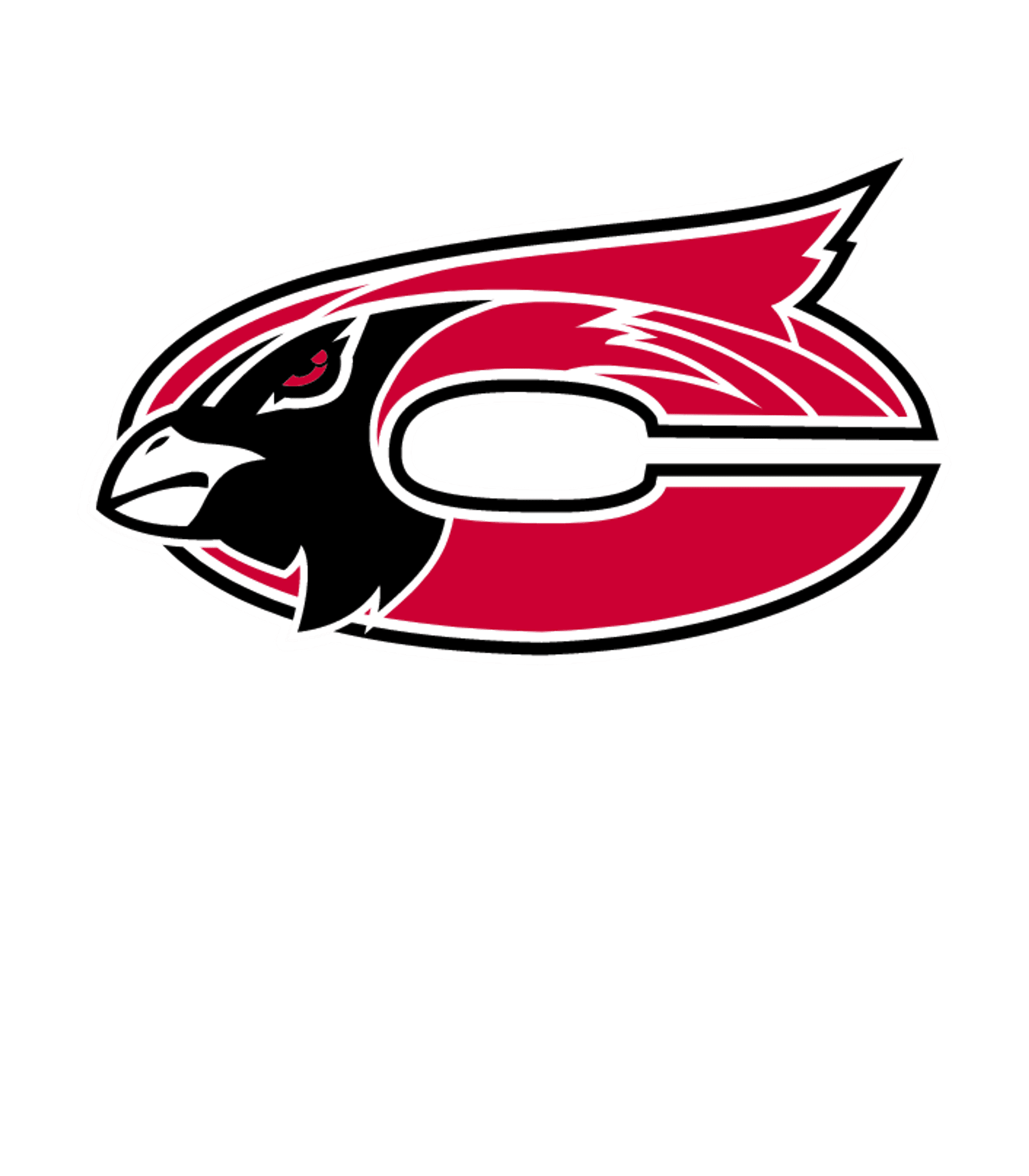 CHADWICK HIGH Logo
