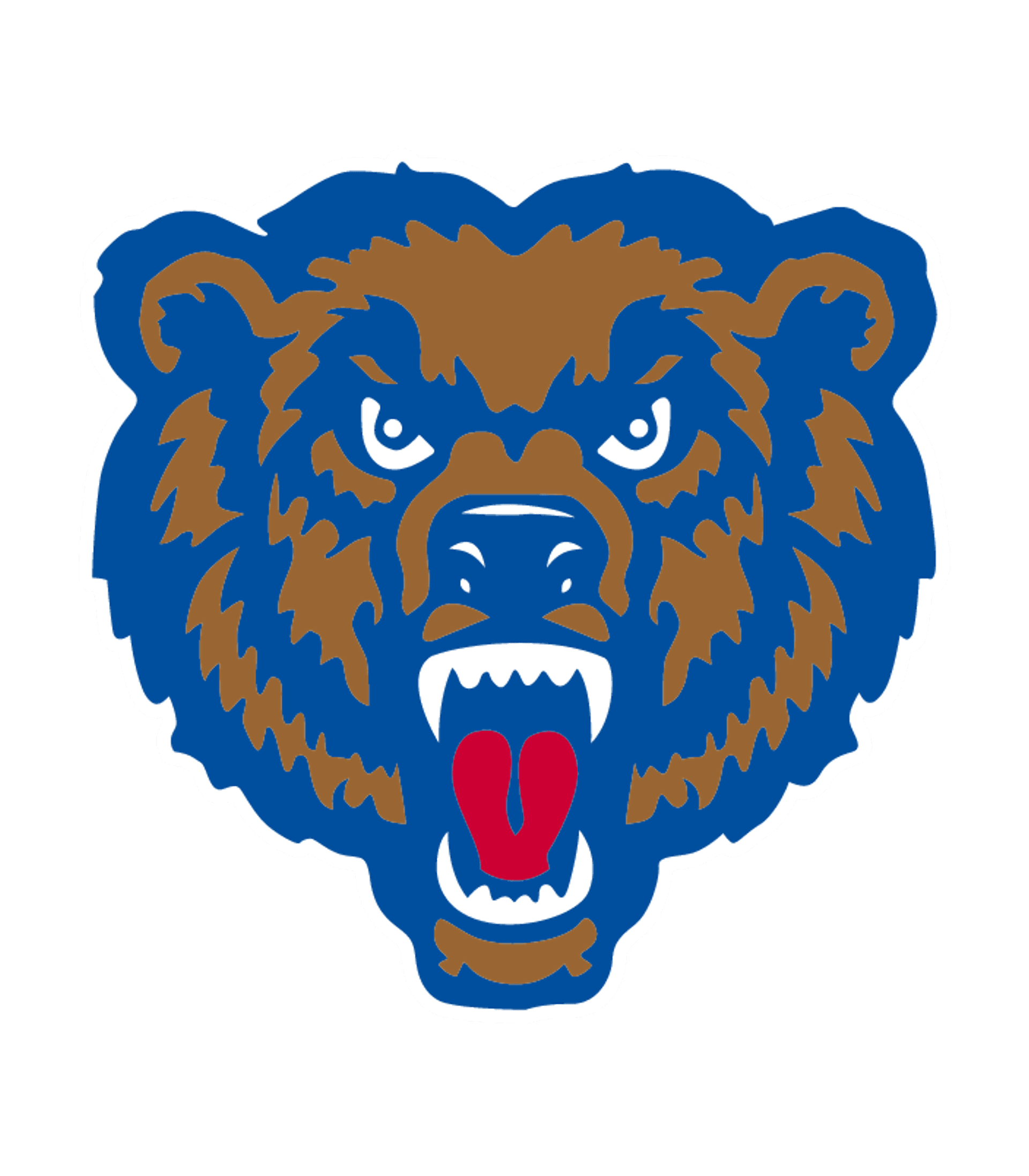Danville Junior-Senior High School Logo