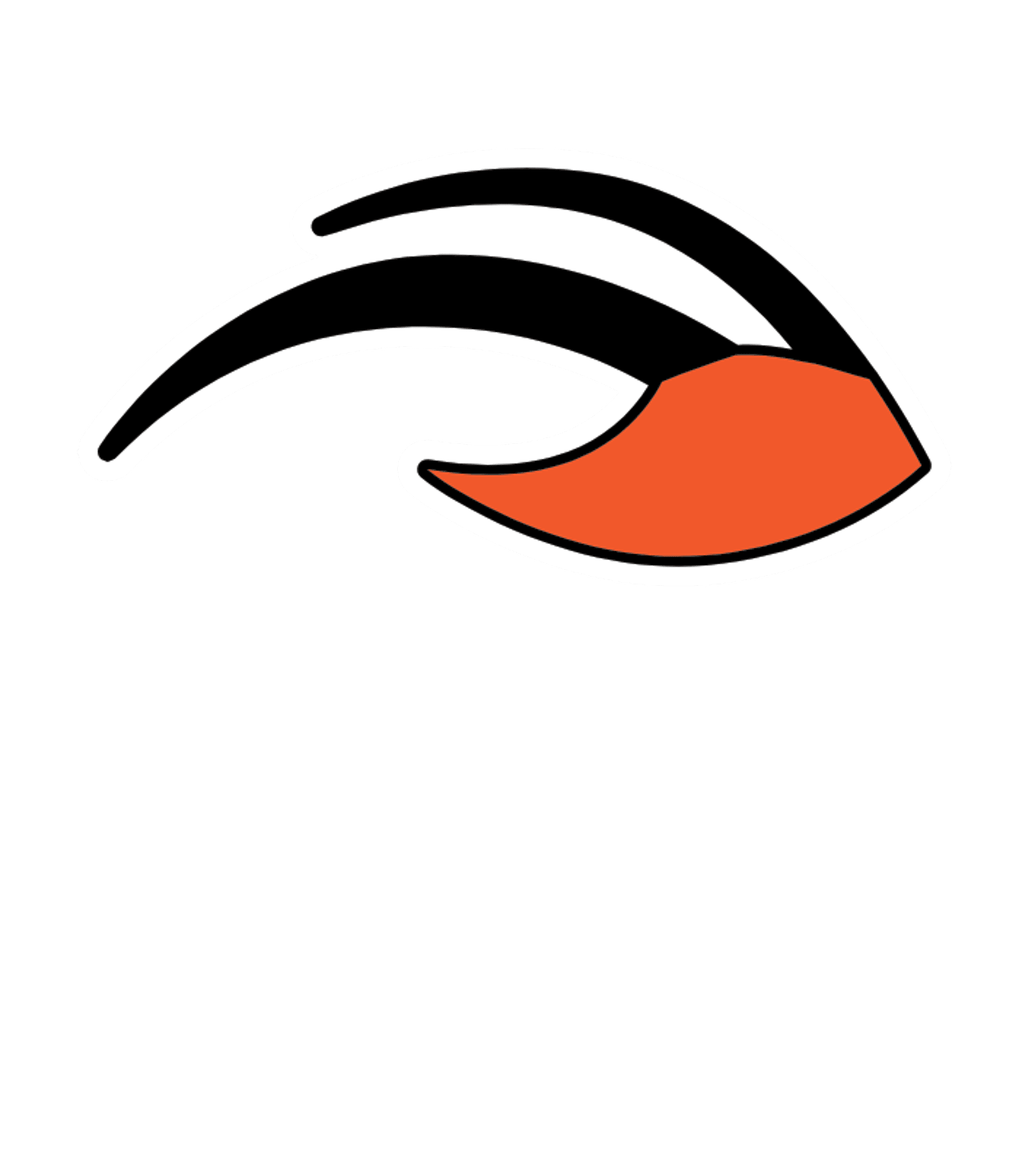 Cheboygan Area High School Logo