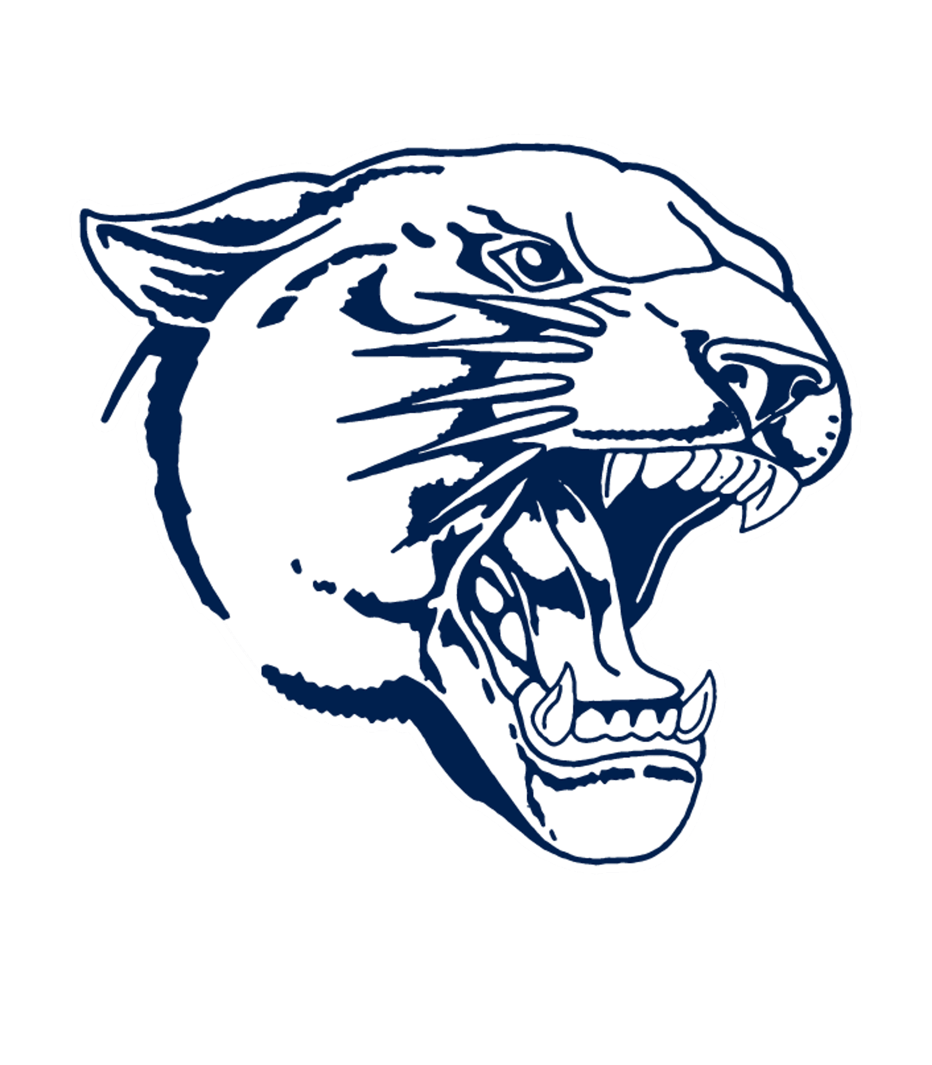 Delcastle Technical High School Logo