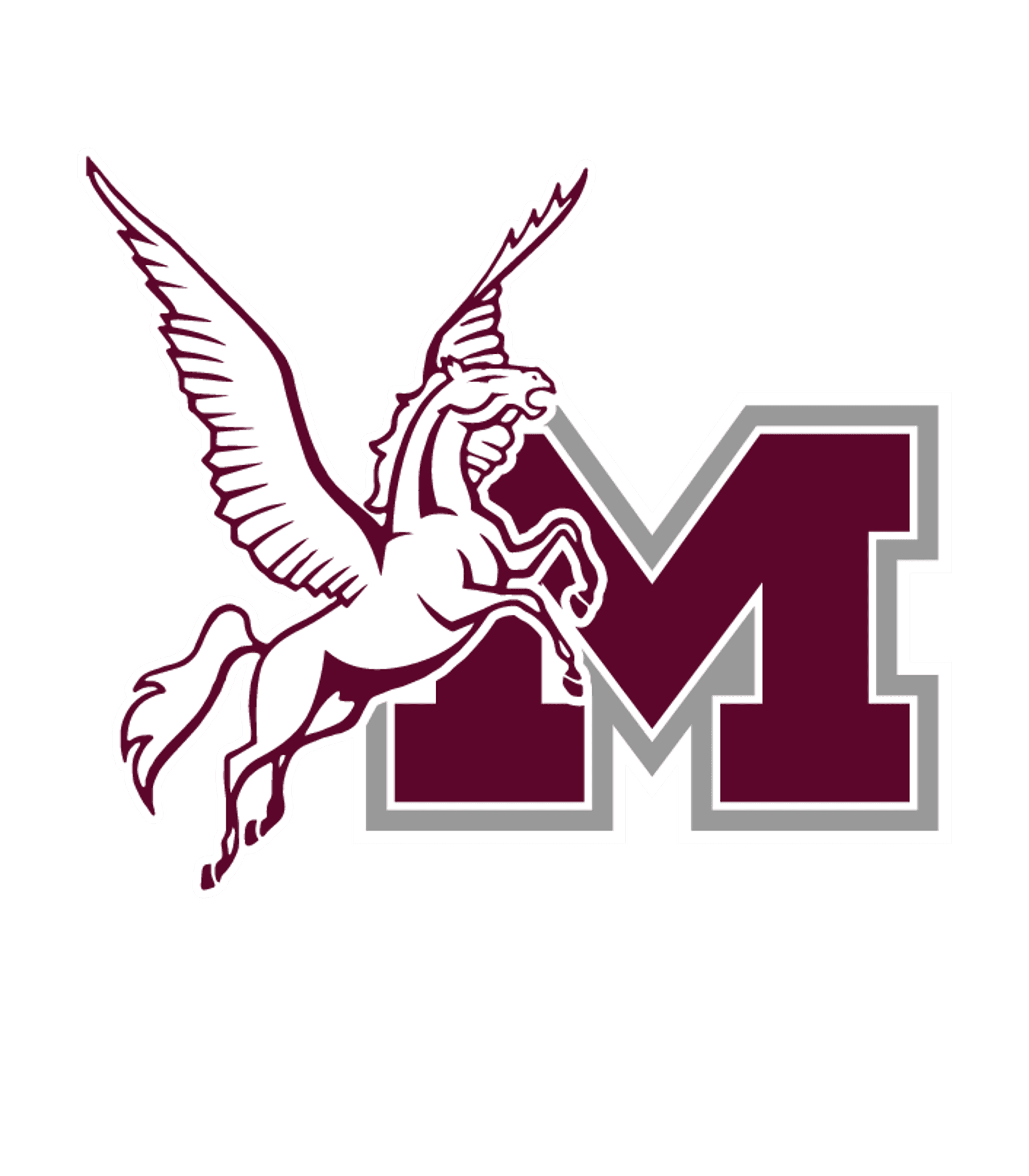CHEEKTOWAGA HIGH SCHOOL Logo
