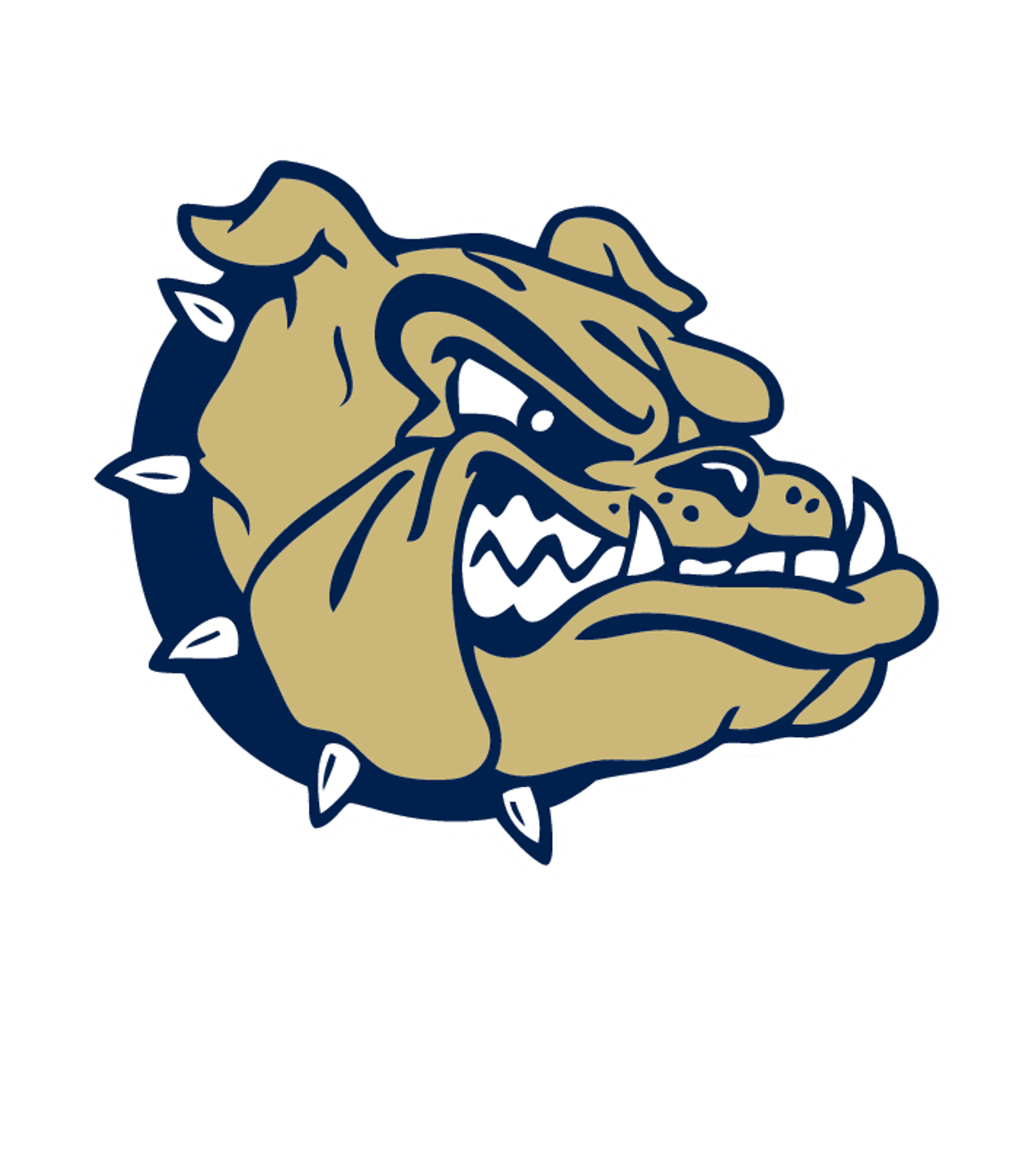 Decatur High School Logo