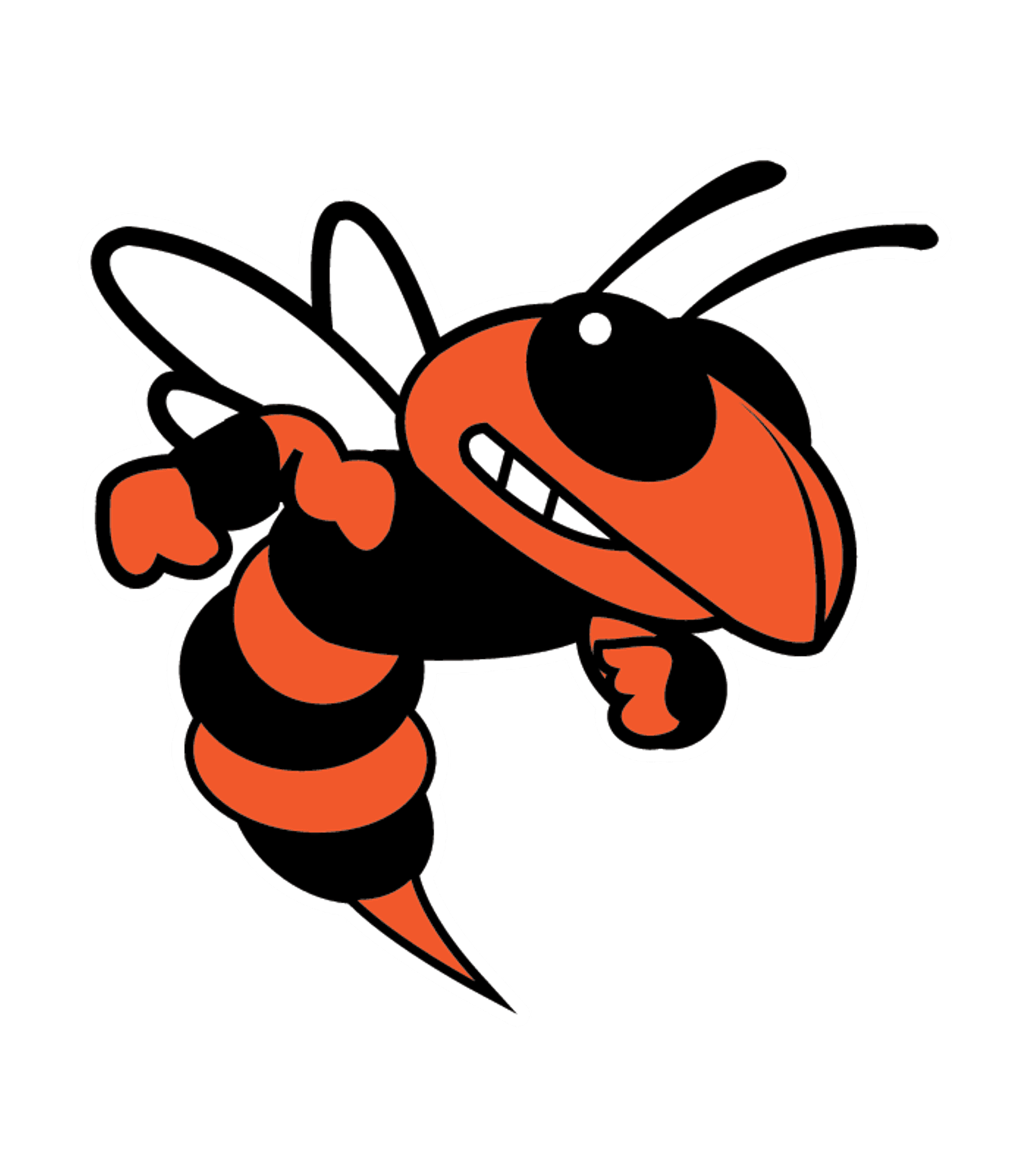 DECLO SENIOR HIGH SCHOOL Logo