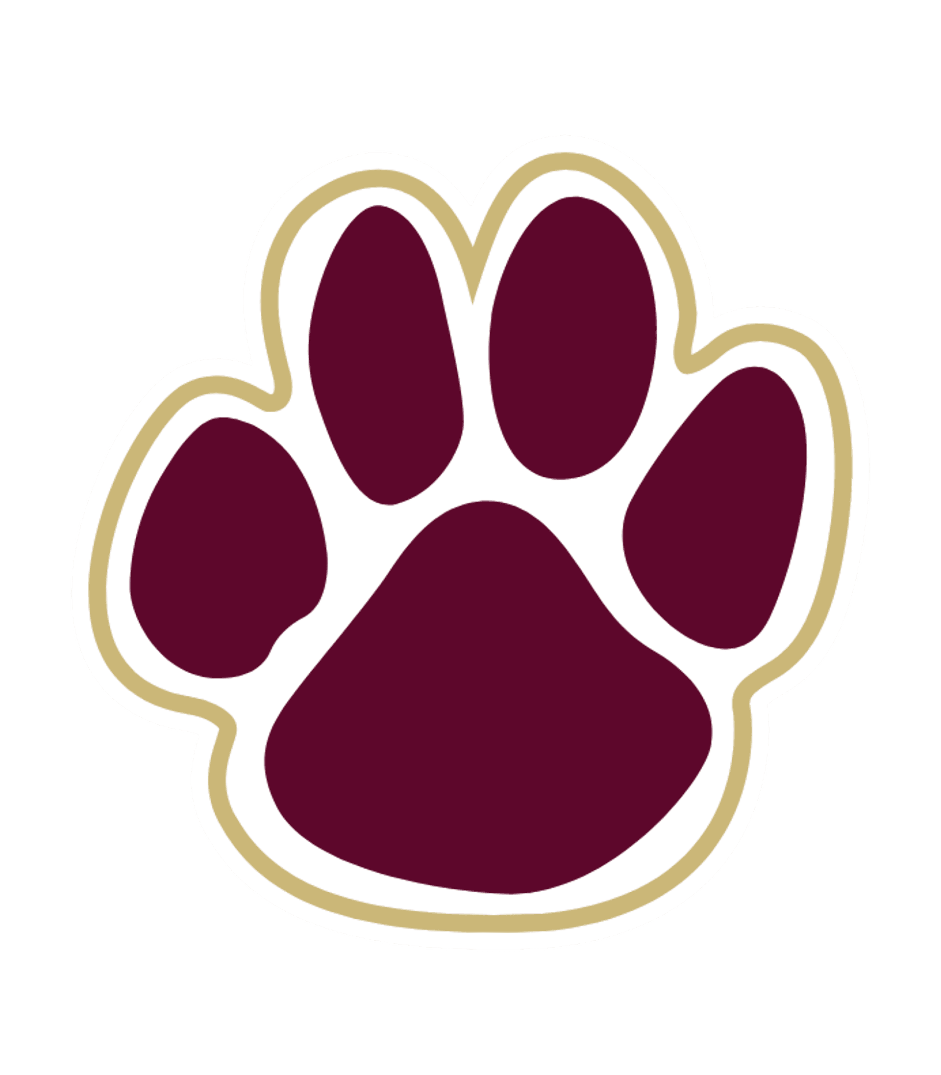 Brandywine Senior High School Logo