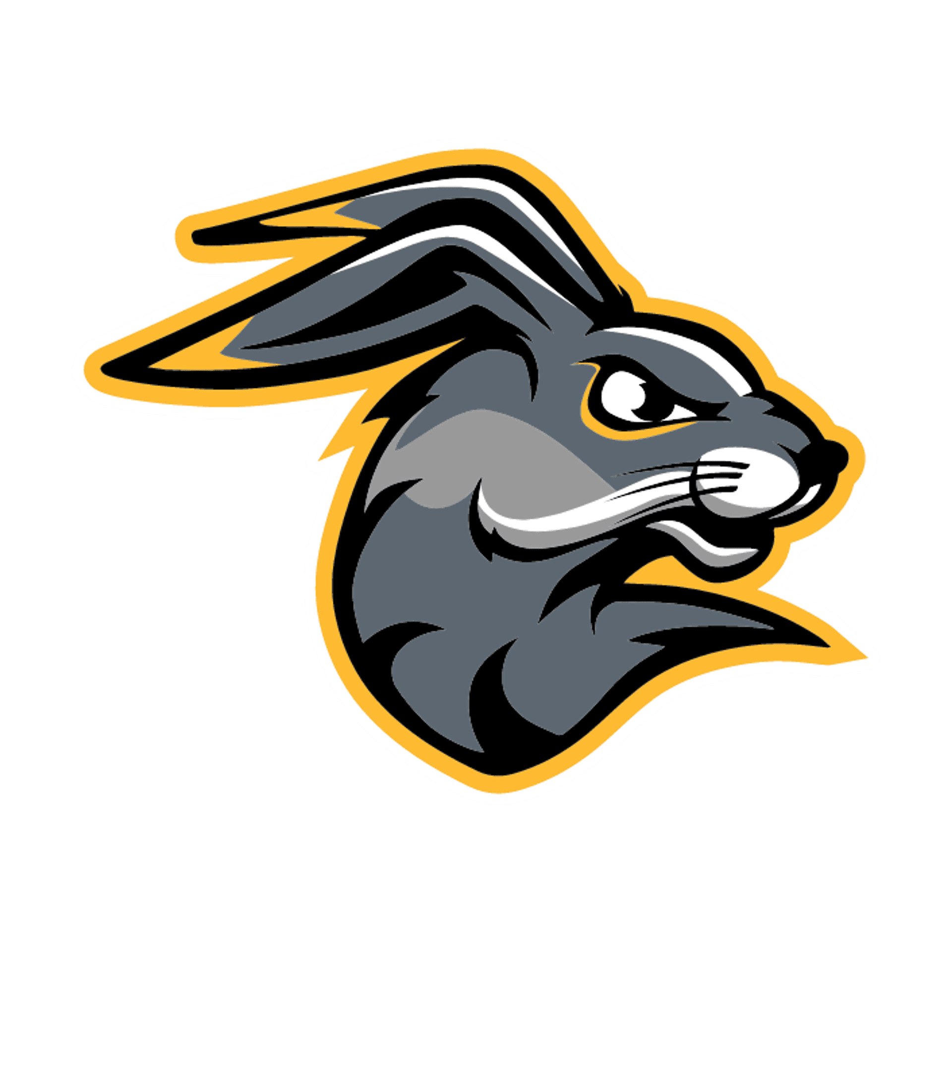 DAWSON-BOYD SECONDARY Logo