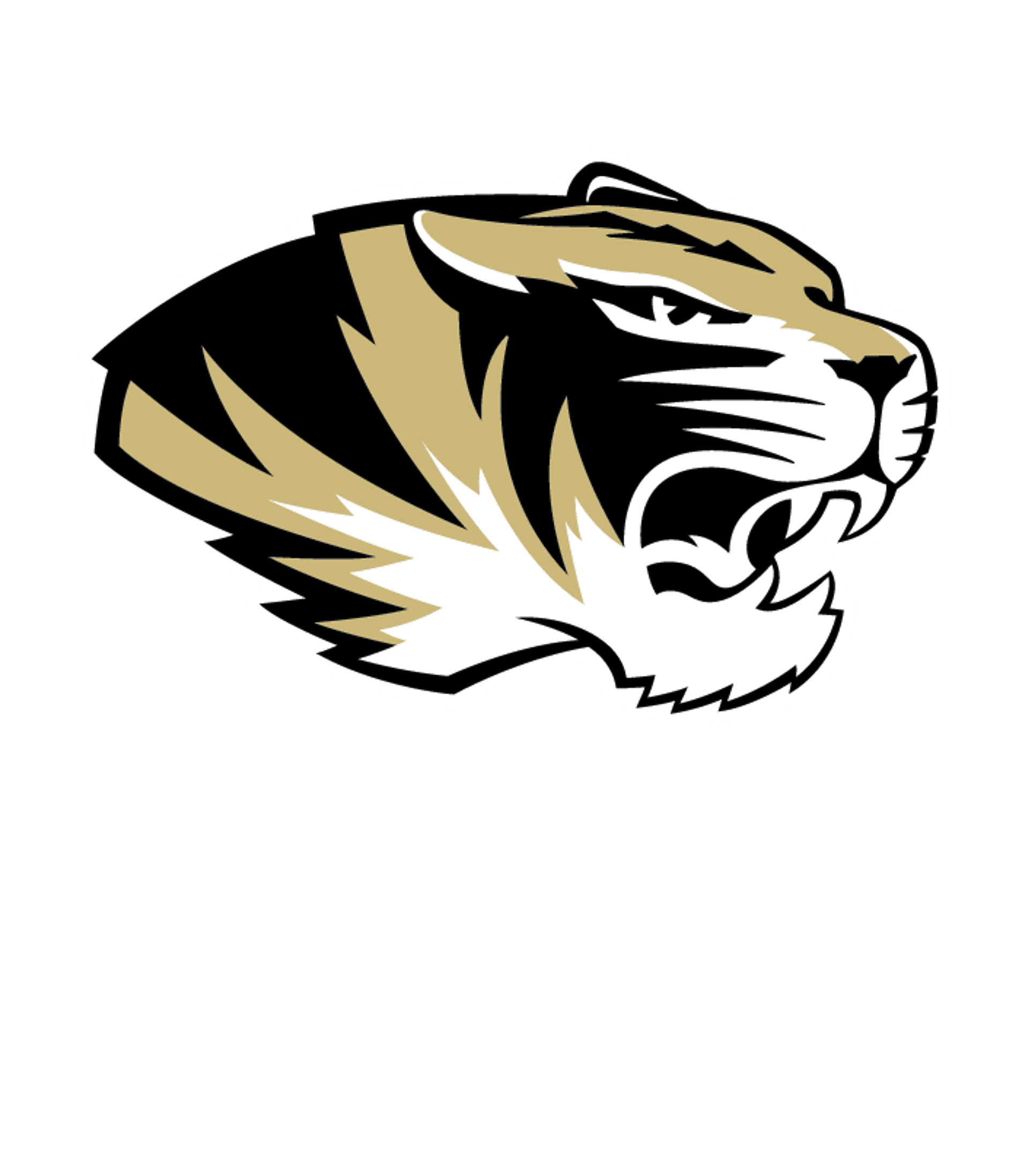 DEKALB JR.-SR. HIGH Logo