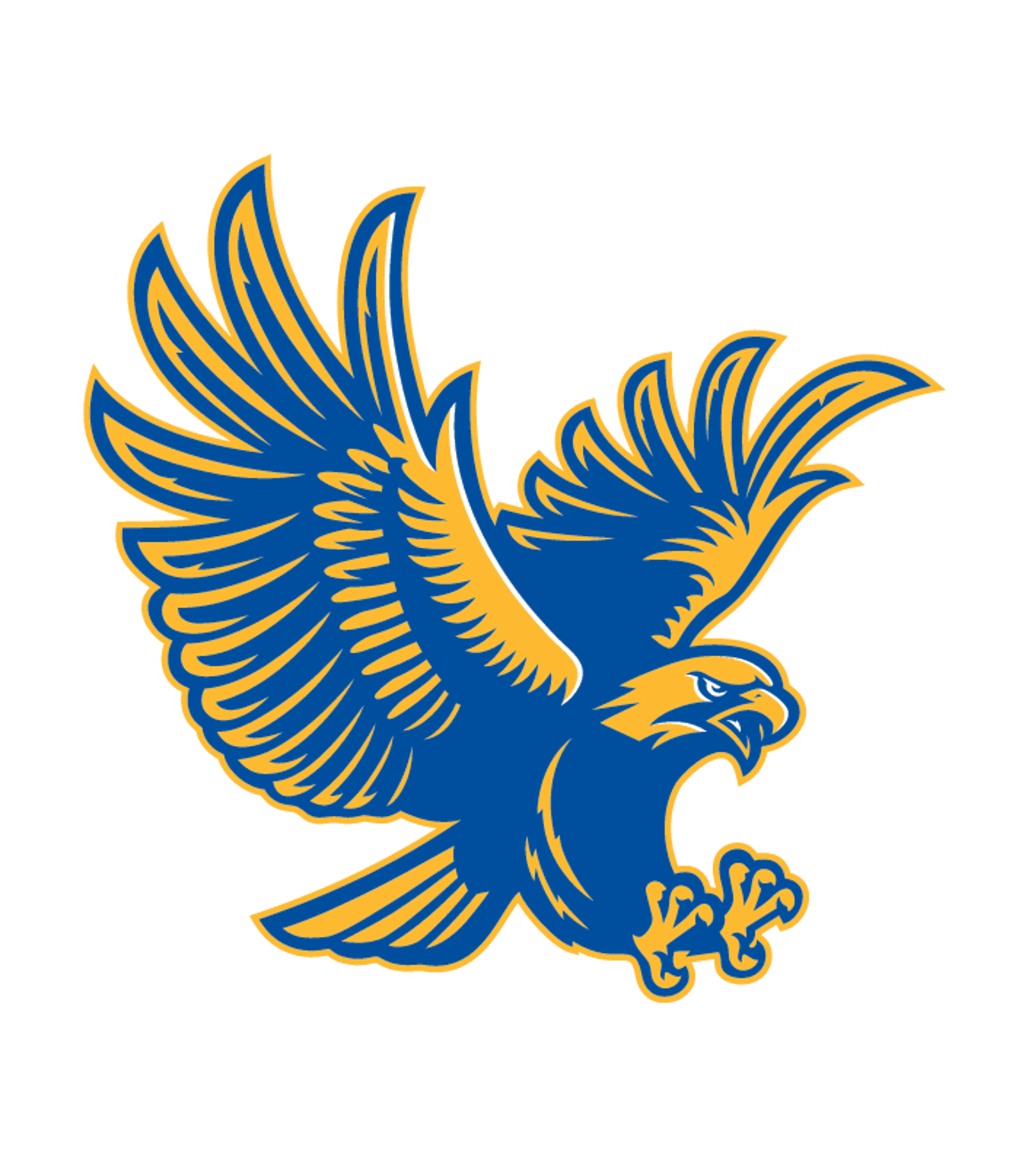 CHANNELVIEW H S Logo
