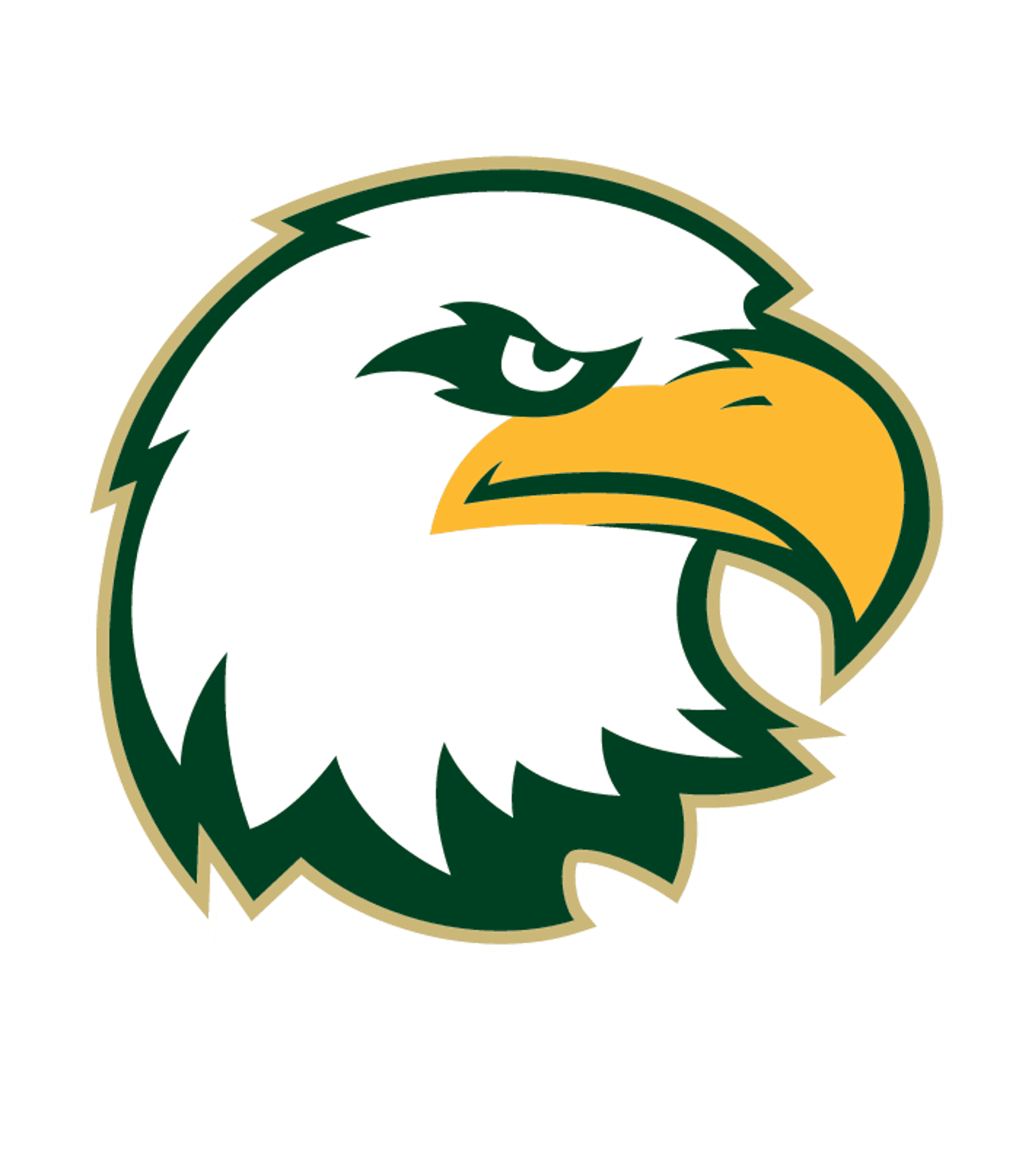 Charles Drew Charter JA/SR Academy Logo