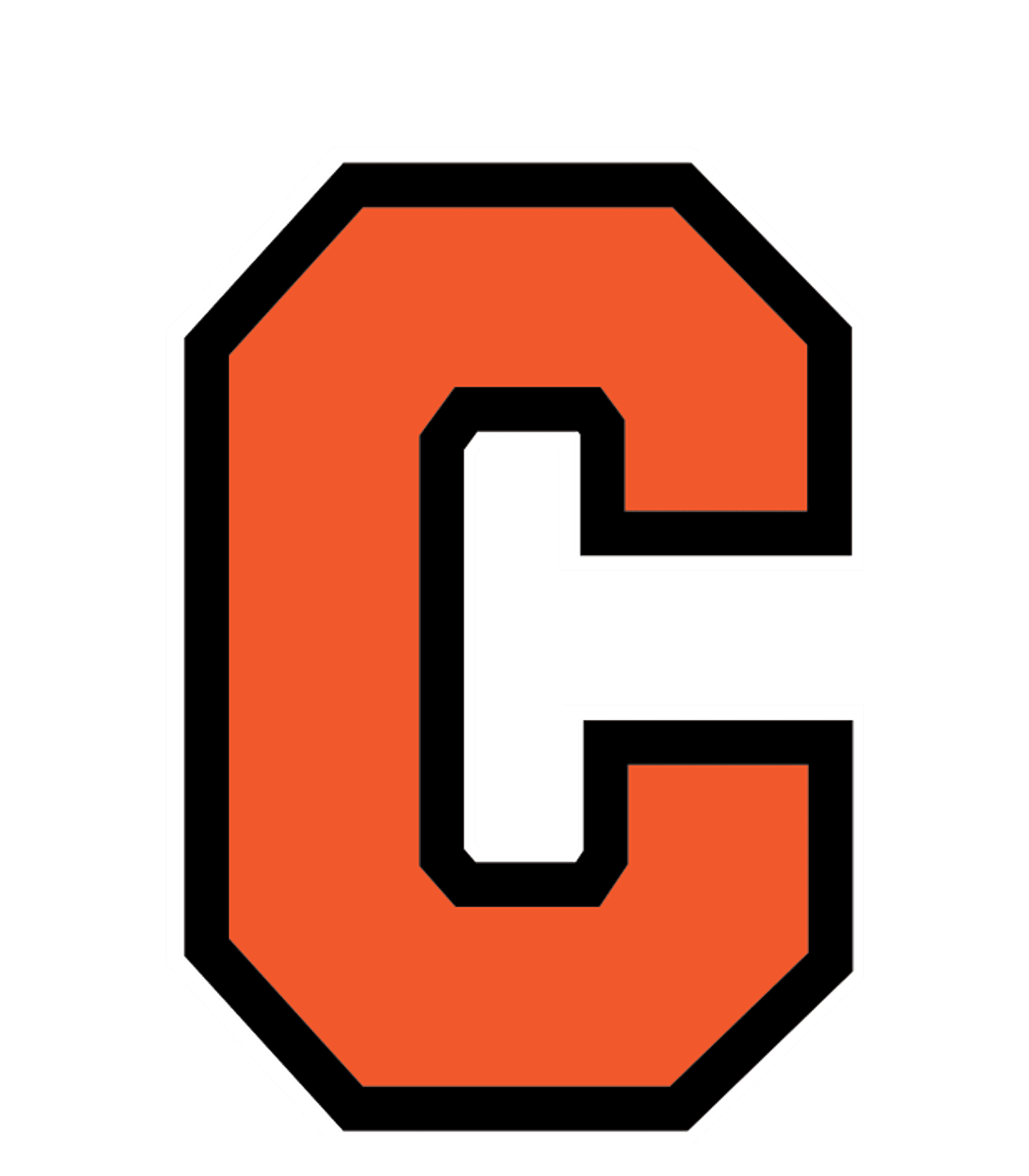 Chesaning Union High School Logo