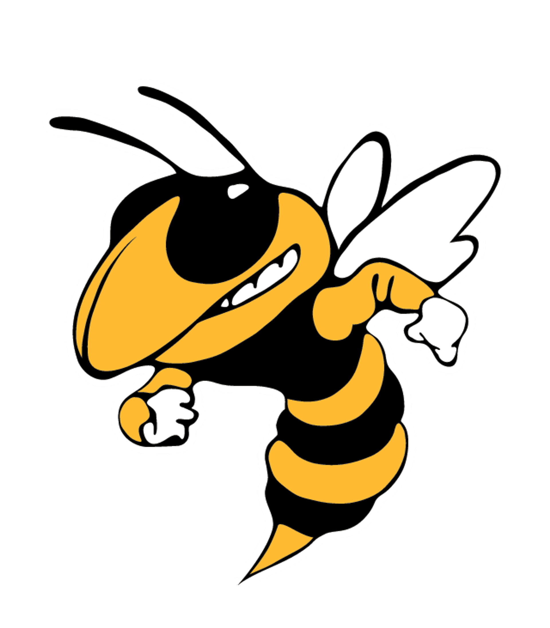 DENISON H S Logo