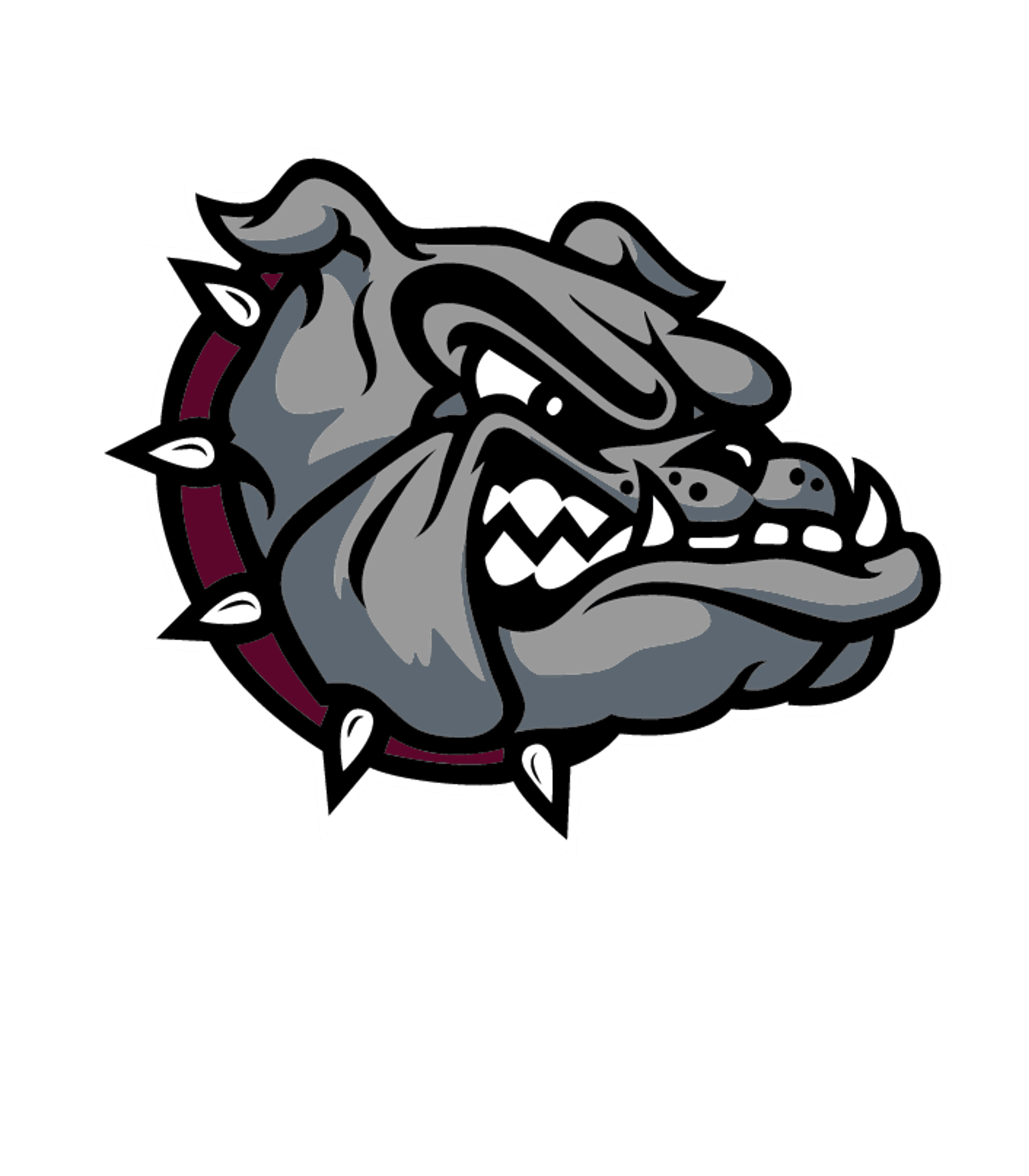DELAWARE ACADEMY HIGH SCHOOL Logo