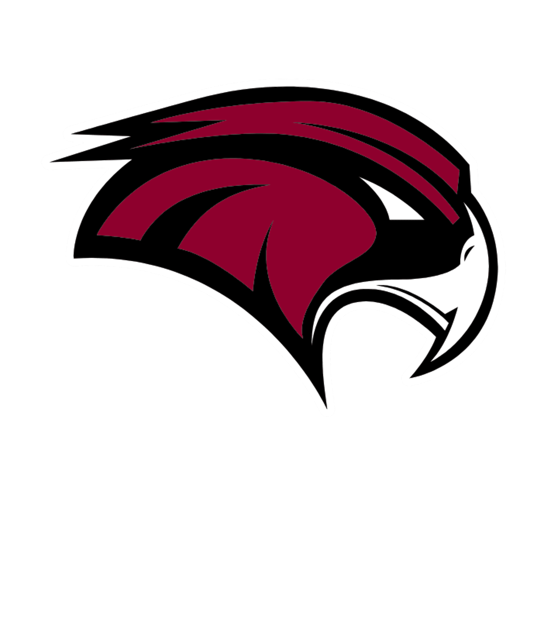 Delhi High Logo