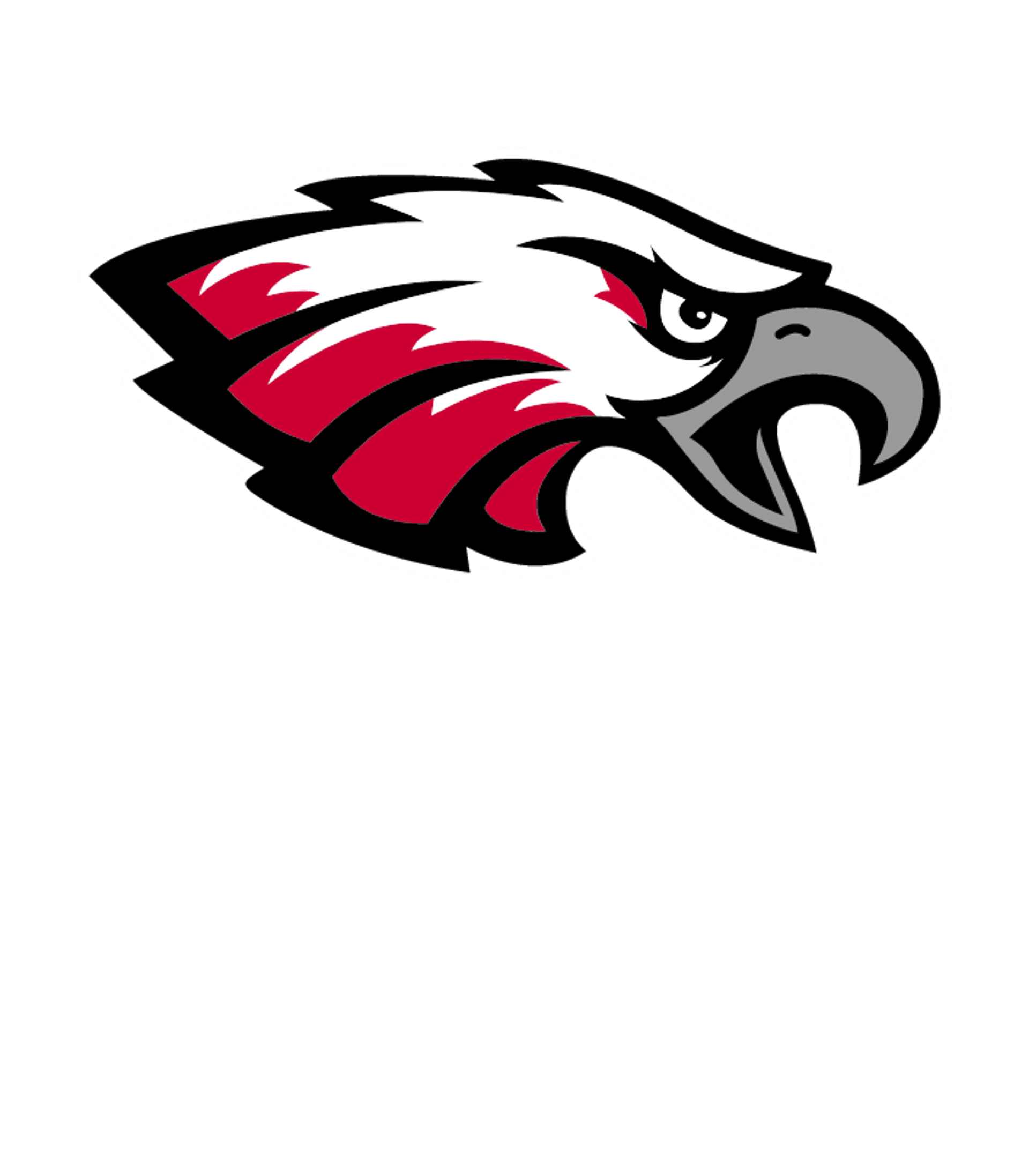 CHAZY CENTRAL RURAL JUNIOR-SENIOR HIGH SCHOOL Logo