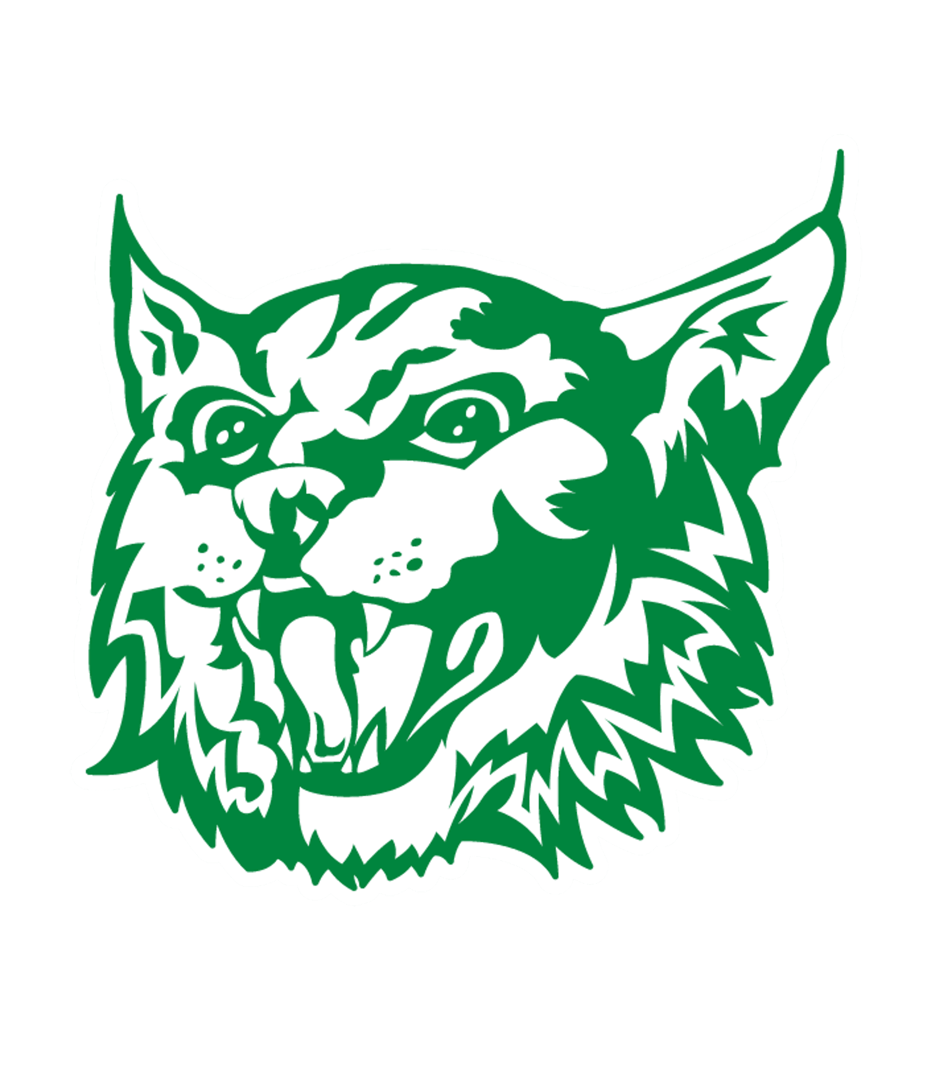 BRONAUGH HIGH Logo