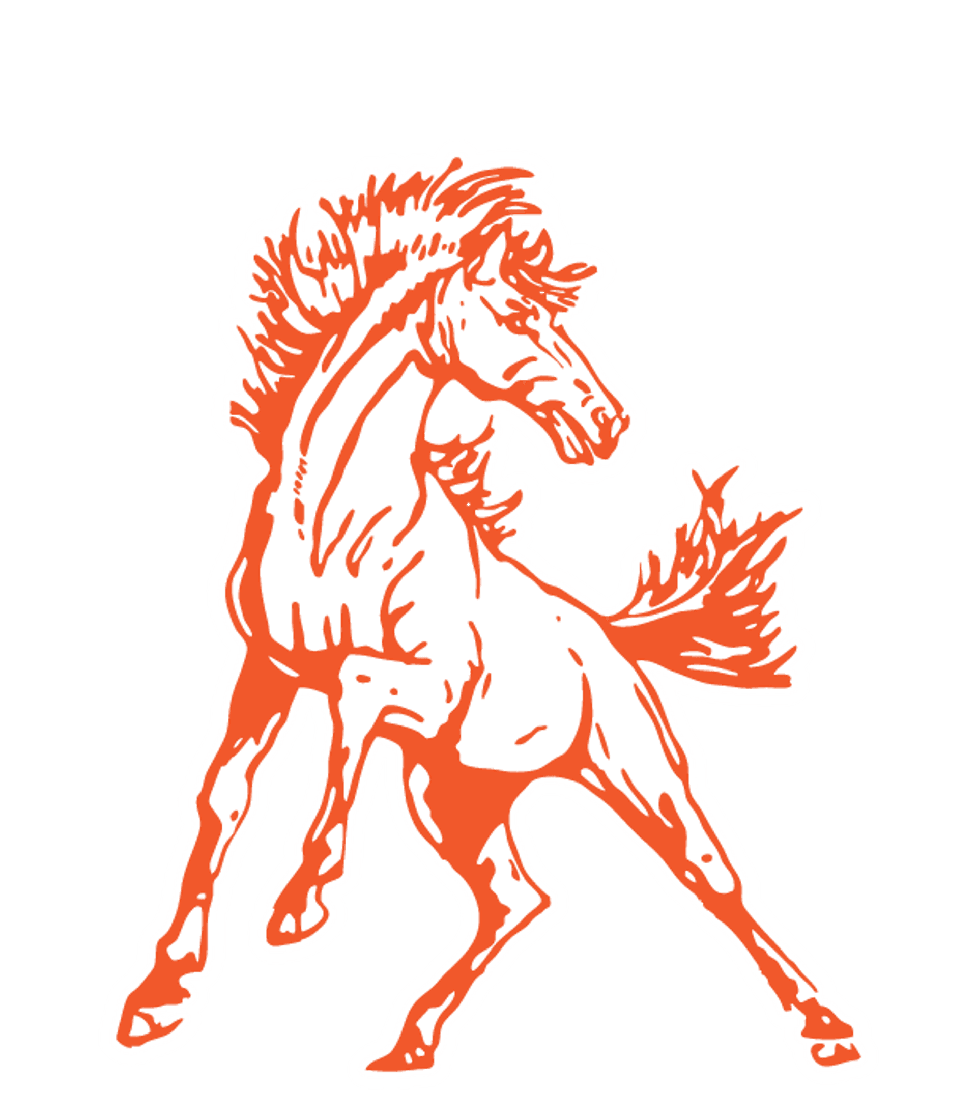Doniphan West JR/SR High School Logo