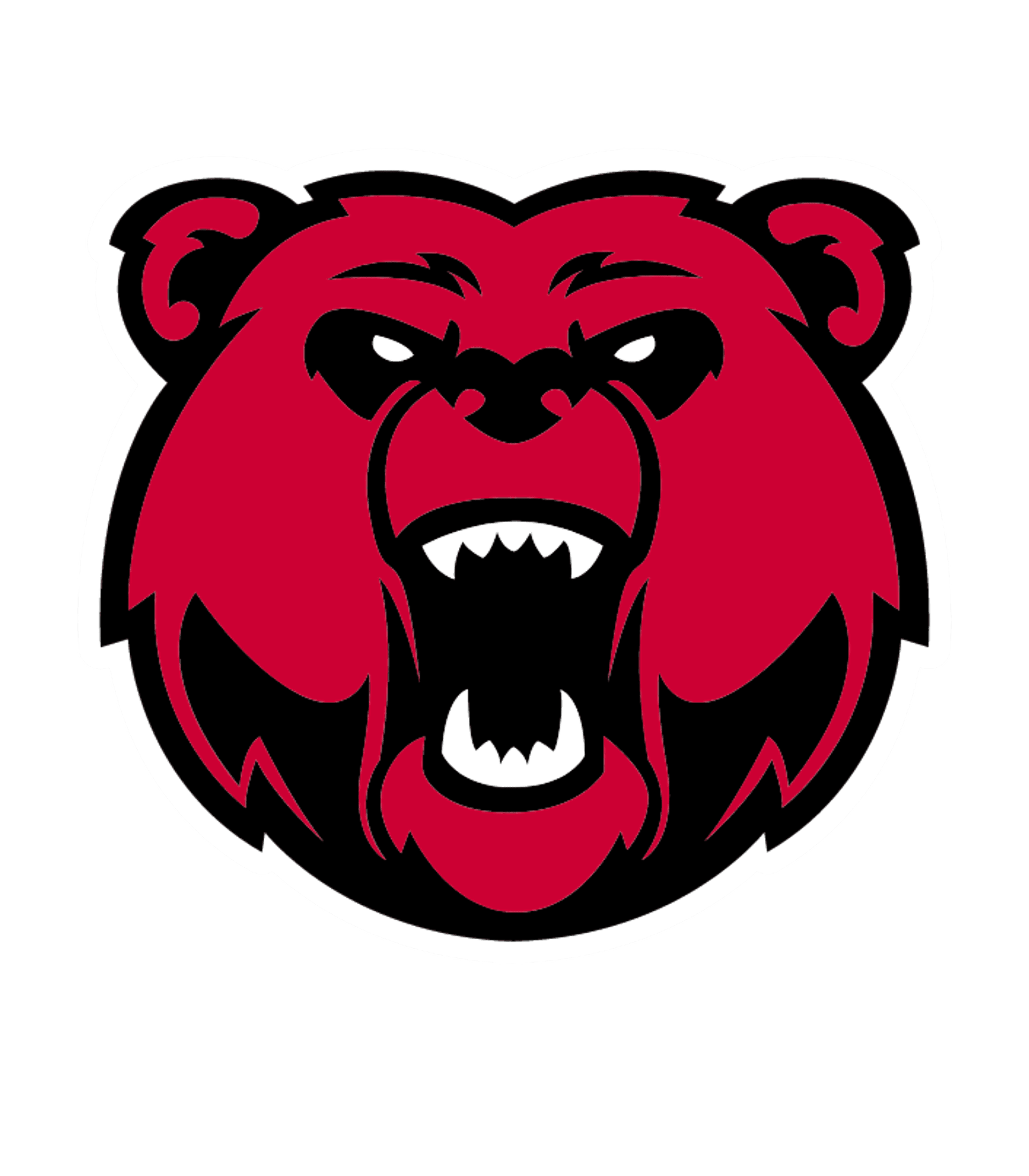 CHITTENANGO HIGH SCHOOL Logo