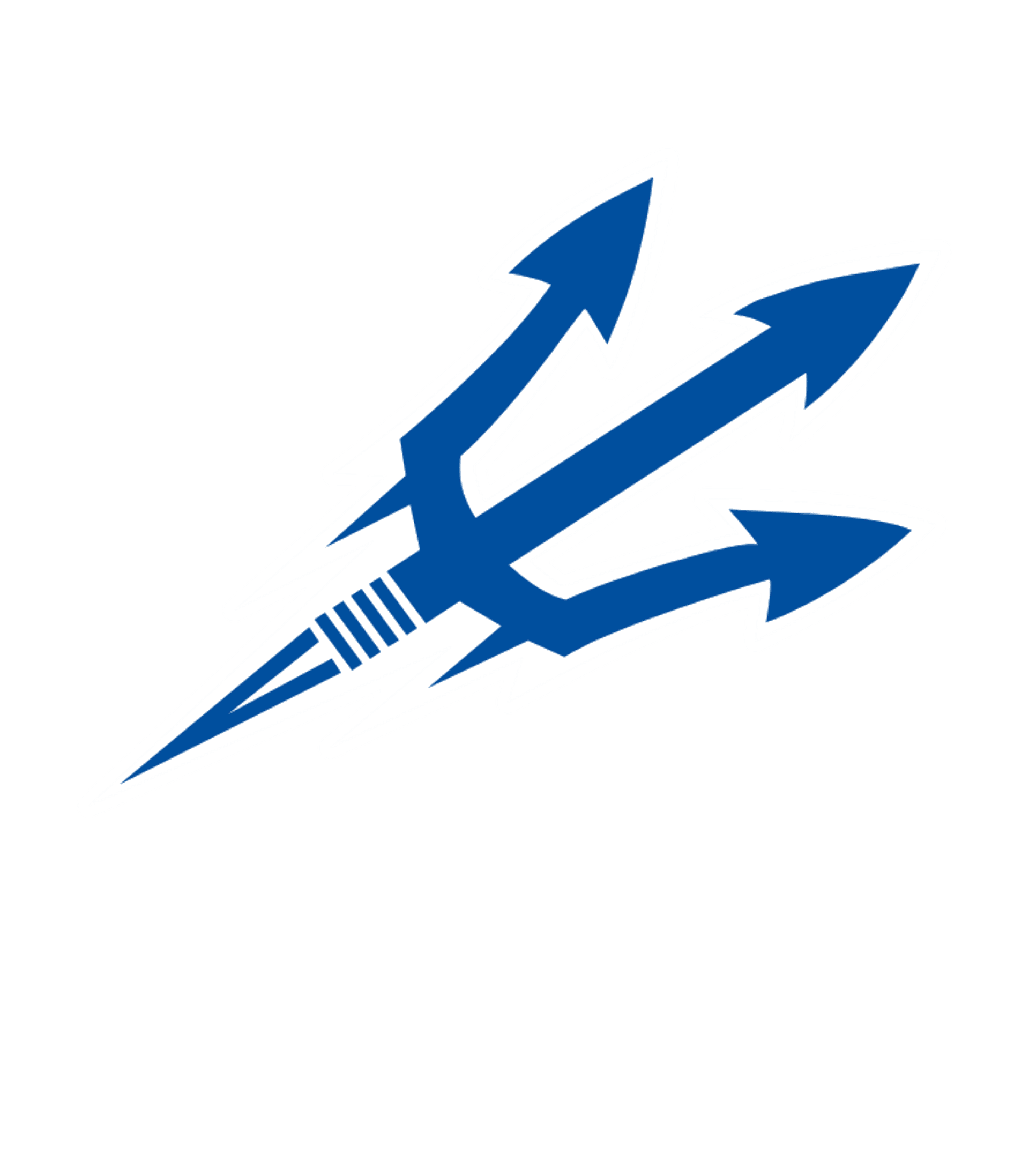 BROCKPORT HIGH SCHOOL Logo